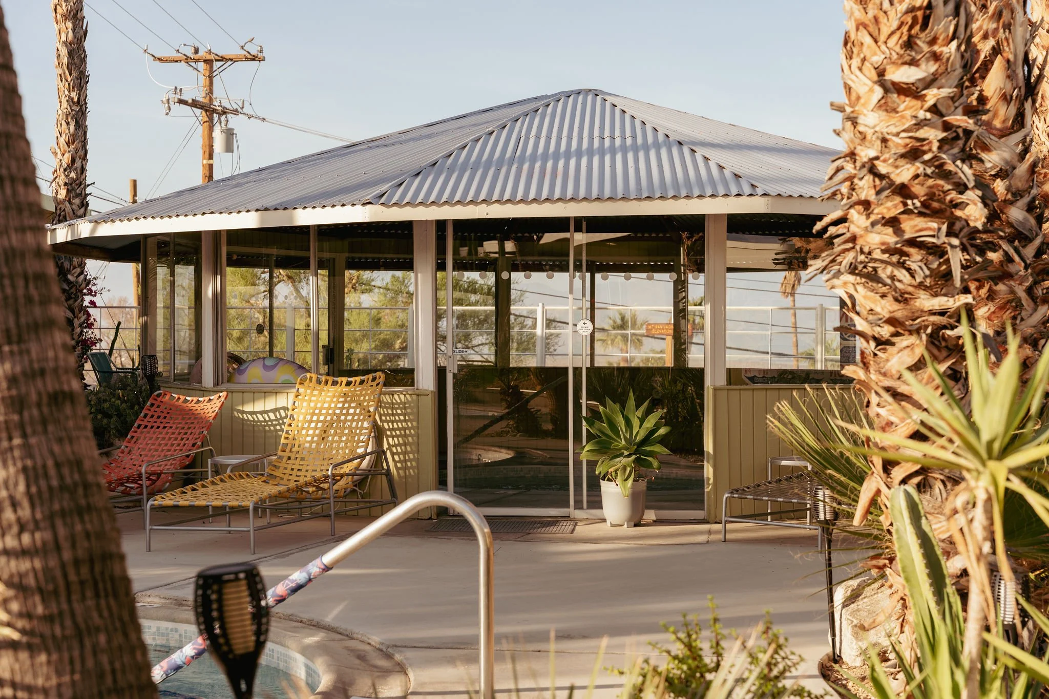 A backyard patio with metal chairs, potted plants, palm trees, and a building with large windows and a metal roof.