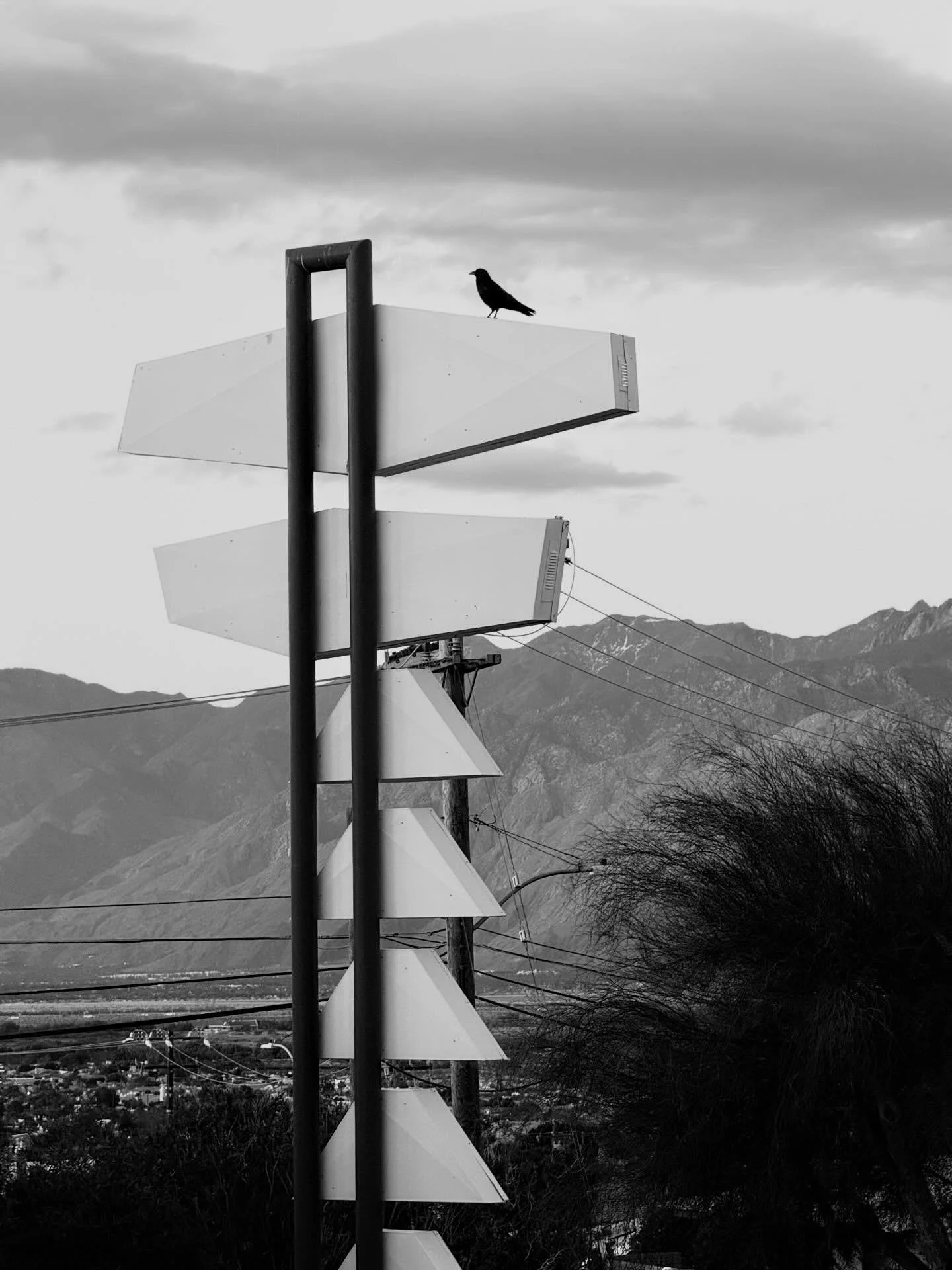 A black bird perched on top of a signpost with multiple blank directional signs, against a cloudy sky and mountains in the background.