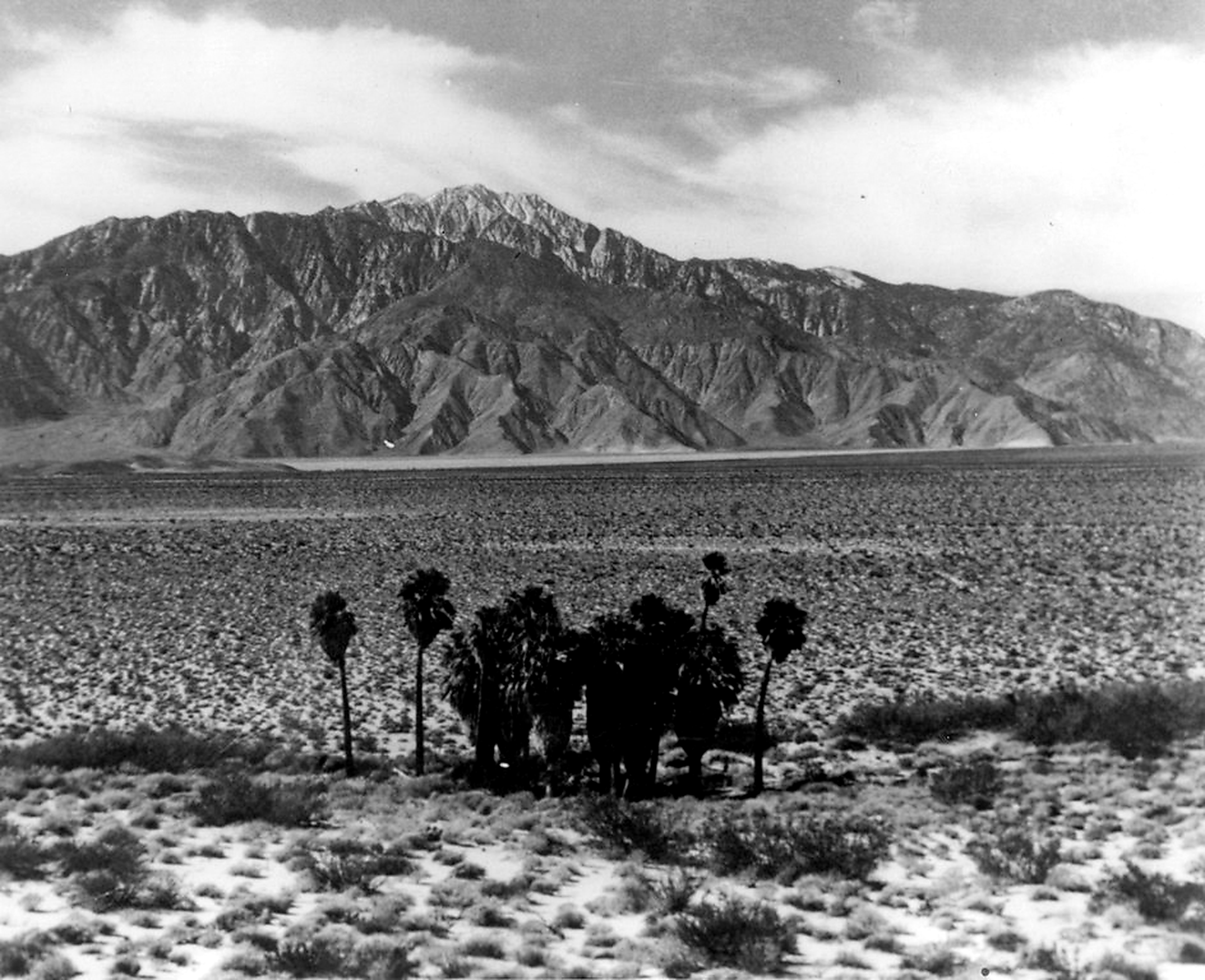A black and white image of a mountain range with a clear sky, rocky terrain, and some small vegetation in the foreground.