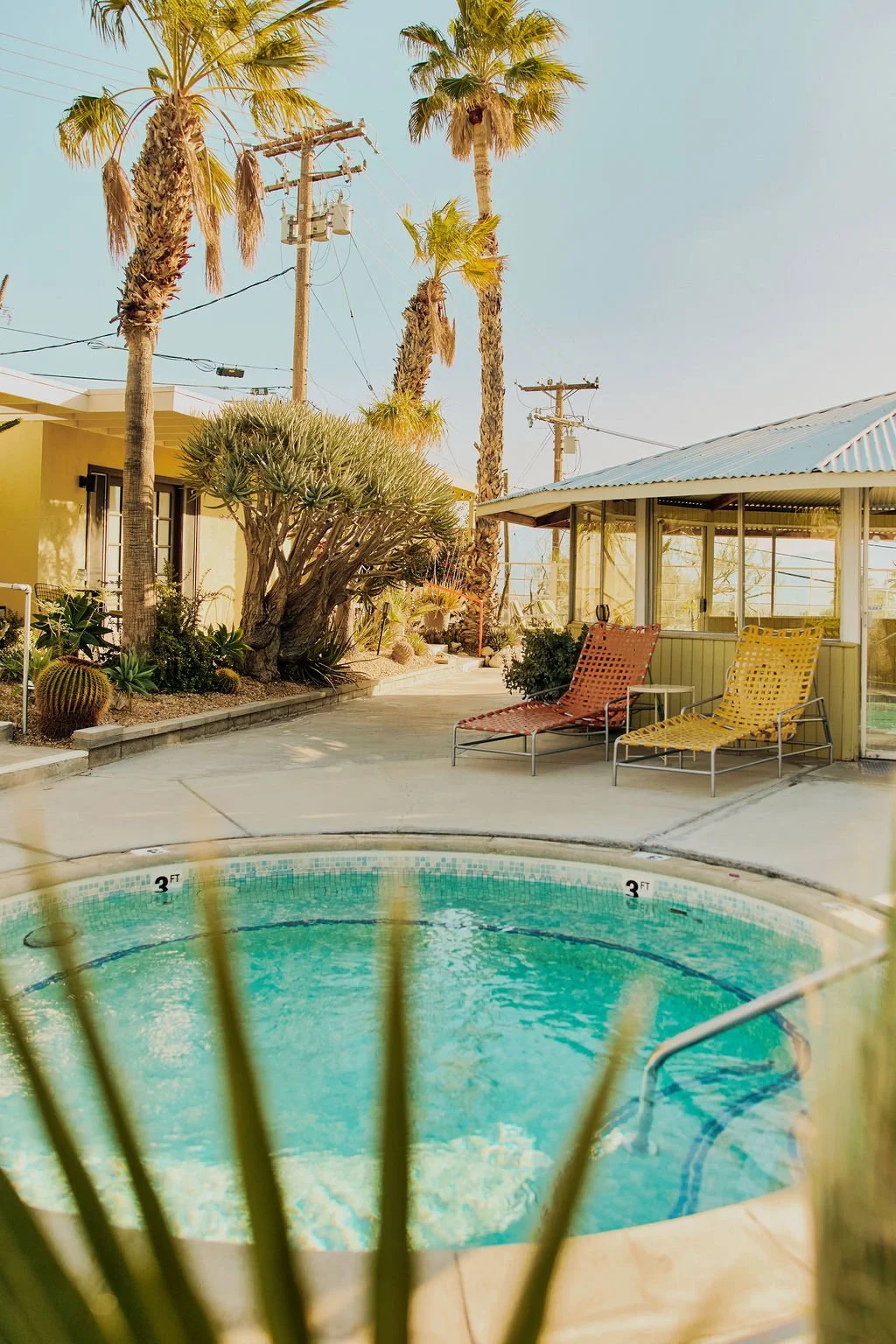 A small round swimming pool outdoors next to a yellow house, surrounded by desert plants including cacti and palm trees, with two lounge chairs—one red and one yellow—under a covered patio area.