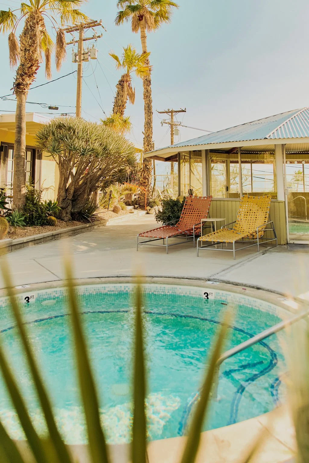 Resort swimming pool area with lounge chairs, a shaded cabana, palm trees, and clear sky.