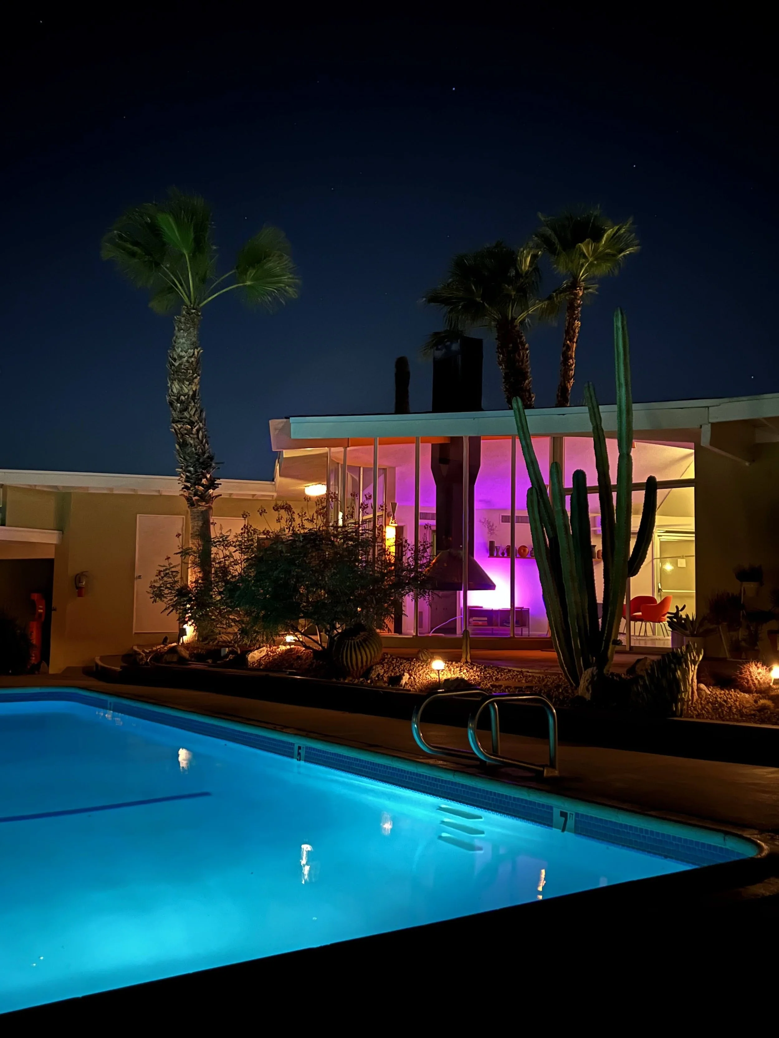 Night view of a backyard with a swimming pool illuminated with blue light, tall palm trees, cacti, and a modern house with colorful lighting visible through large windows.