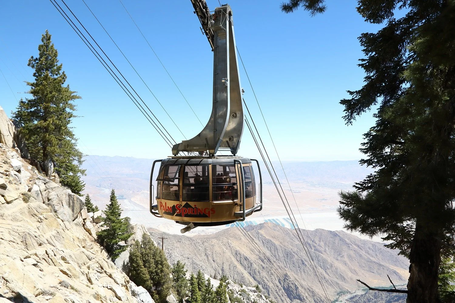 A gondola lift with the words 'Palm Springs' on it, ascending a mountain with rocky terrain and trees, overlooking a desert landscape under a clear blue sky.