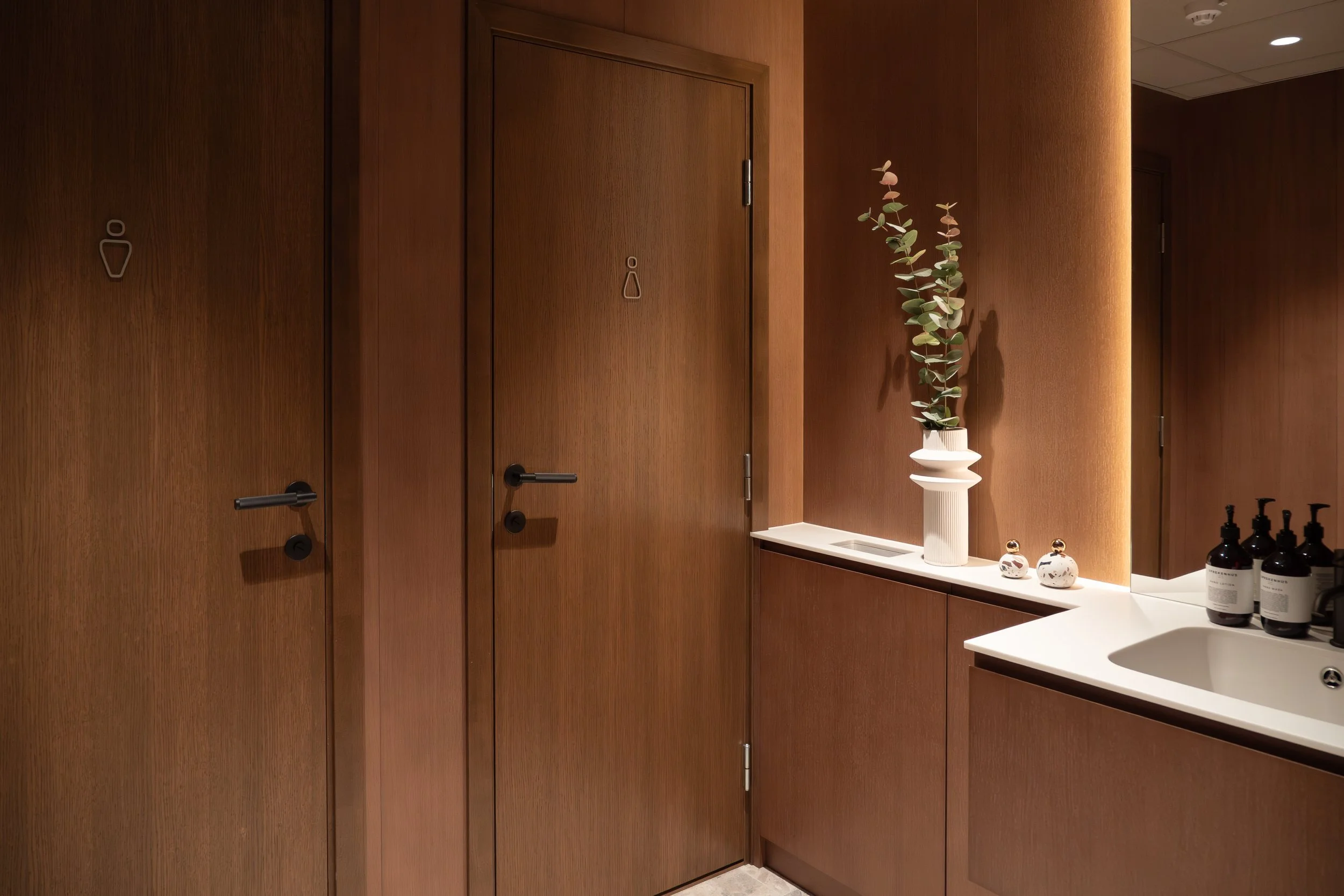 schage-3.jpg