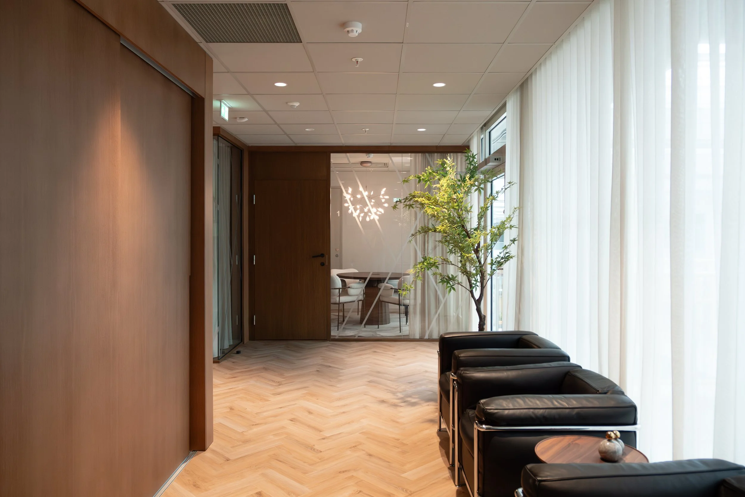 schage-6.jpg