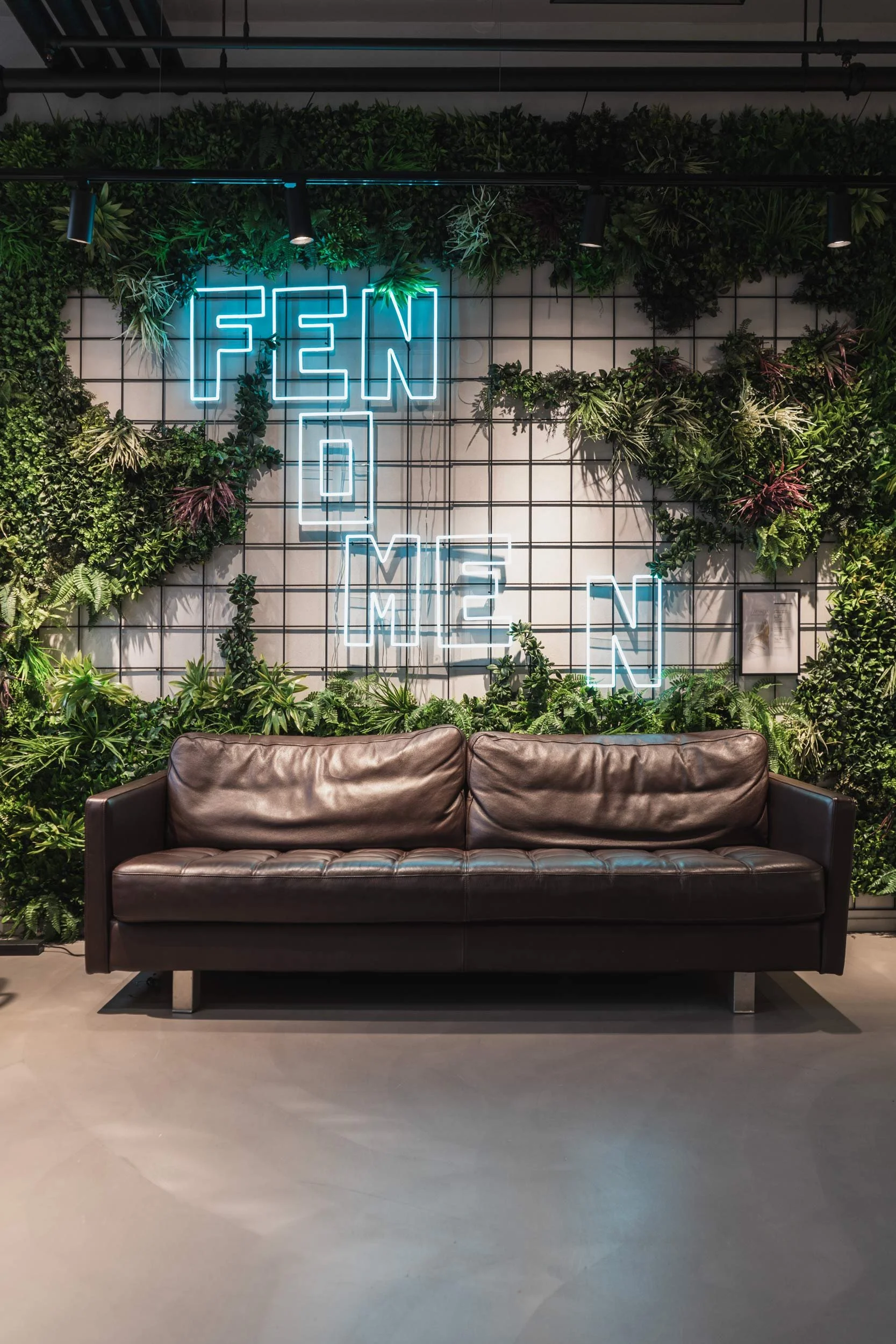 pgno-fenomen-web-A7401517.jpg