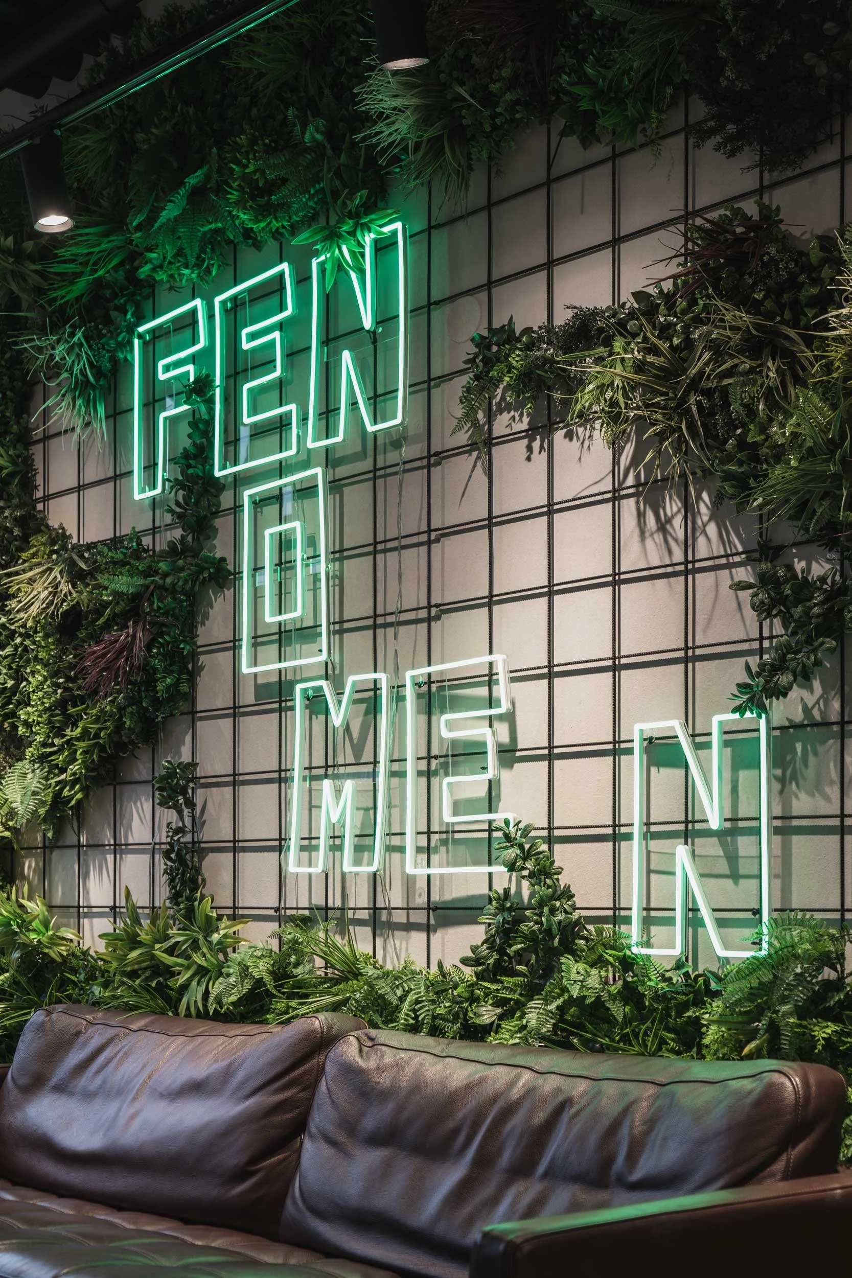 pgno-fenomen-web-A7401522.jpg