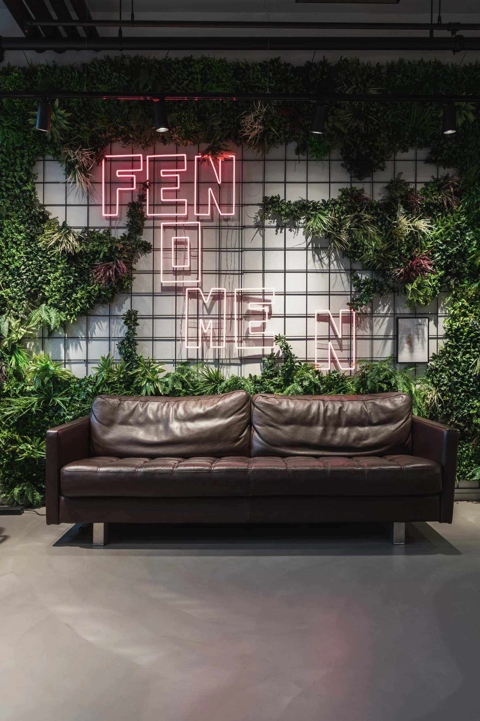 pgno-fenomen-web-A7401518.jpg