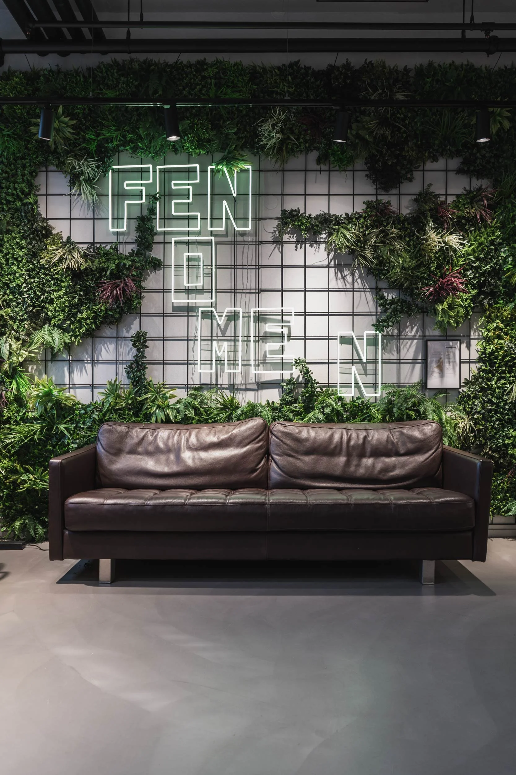 pgno-fenomen-web-A7401519.jpg