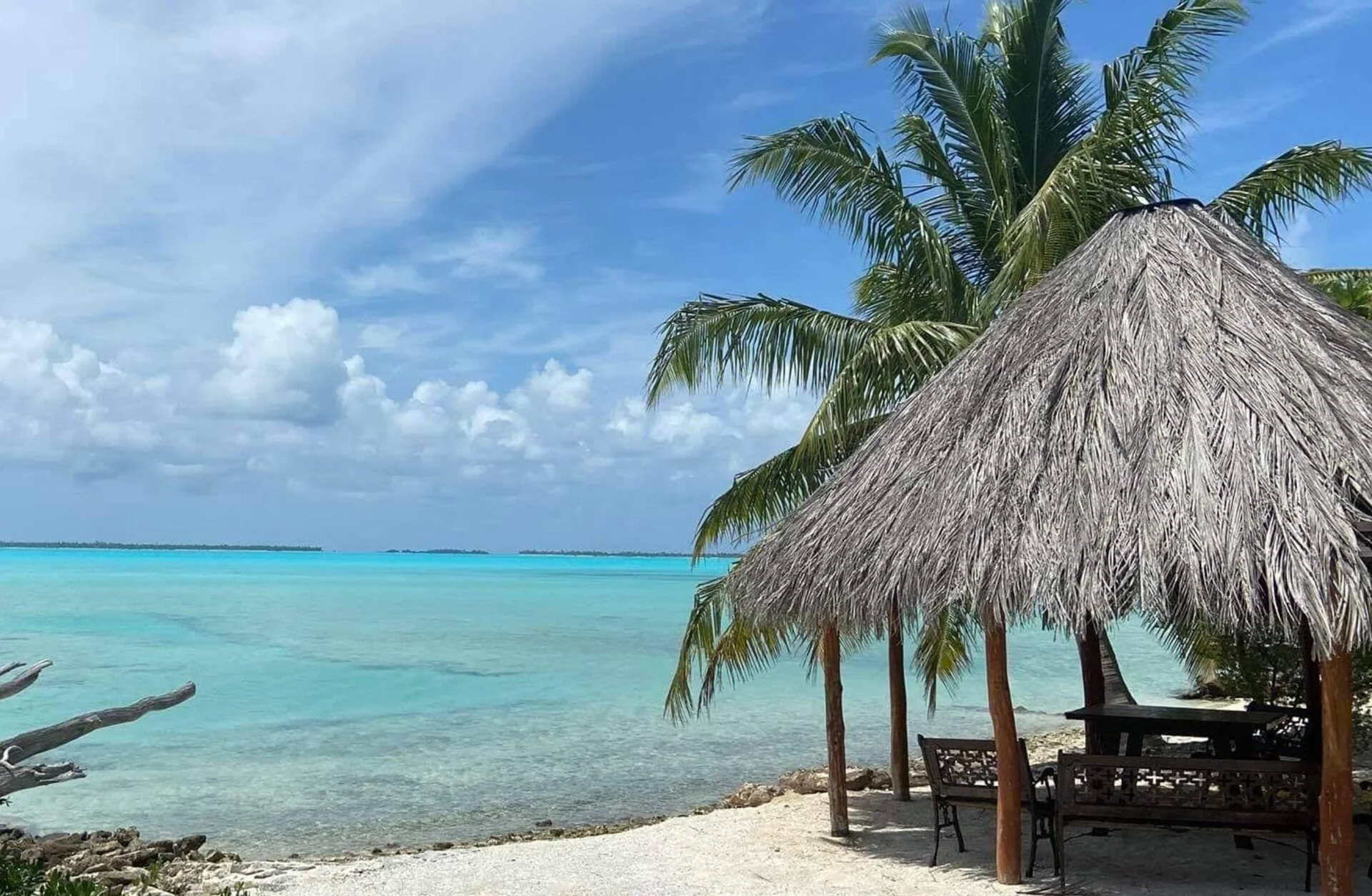 french-polynesia-anaa-atoll-Flos.jpg