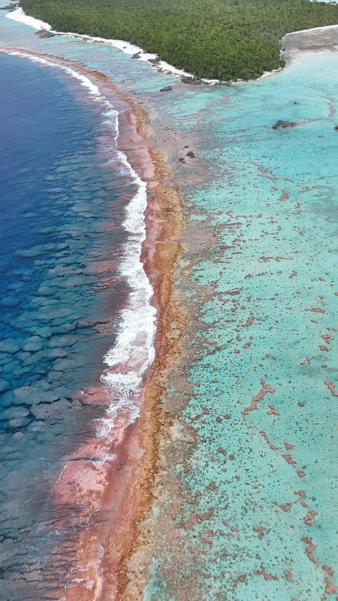 Reef edge.jpg