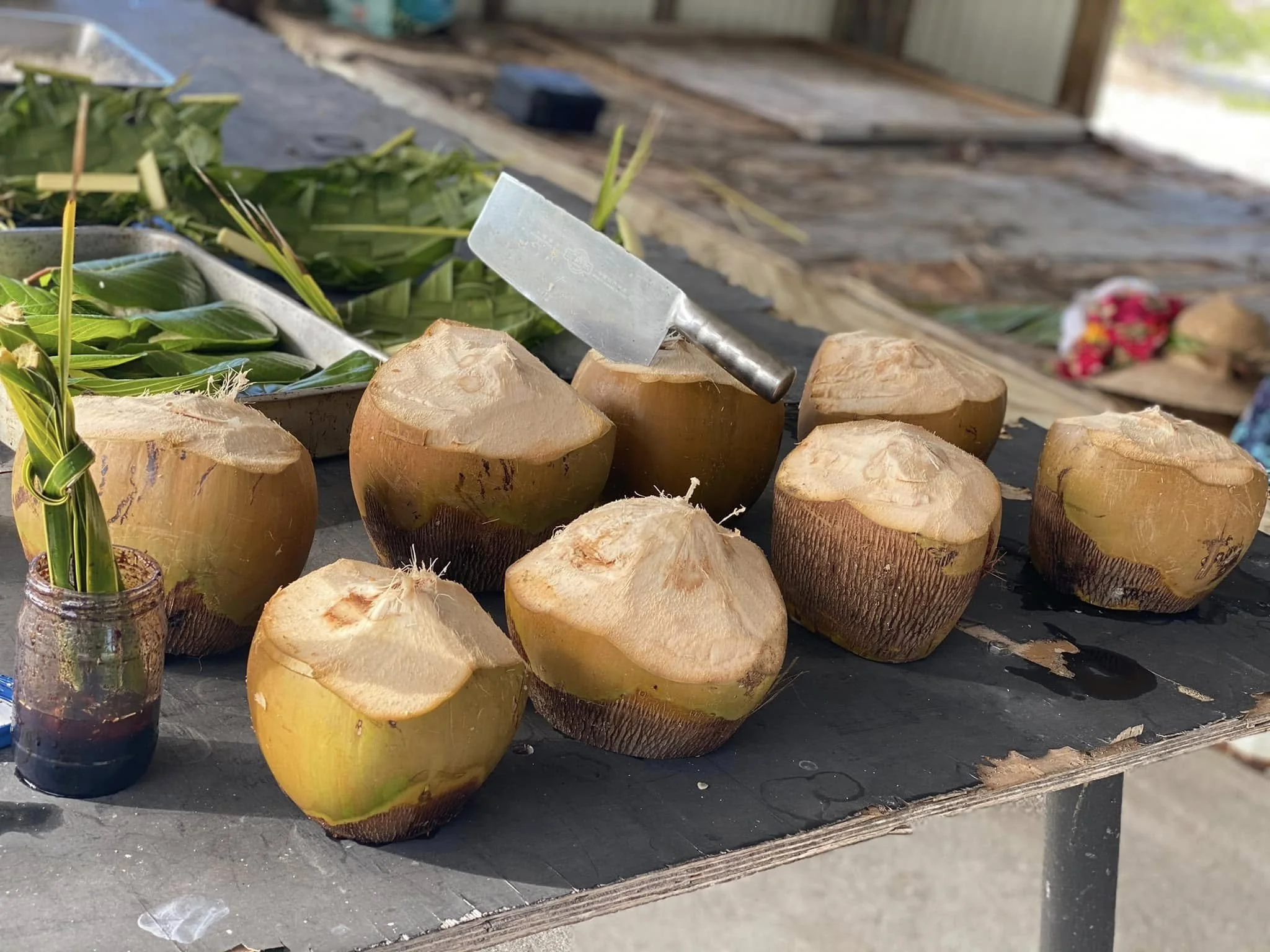 Fresh coconuts prepared for guests on Anaa