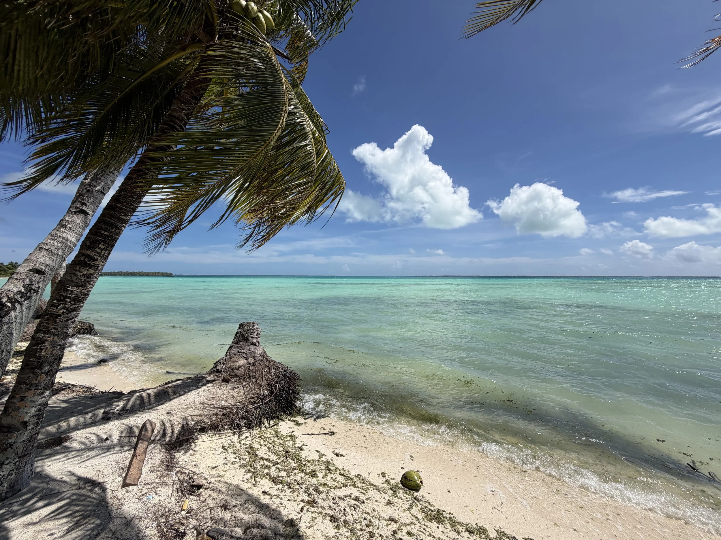 A tropical beach on Fanning Island with palm trees, turquoise water, sandy shore, and a partly cloudy blue sky.