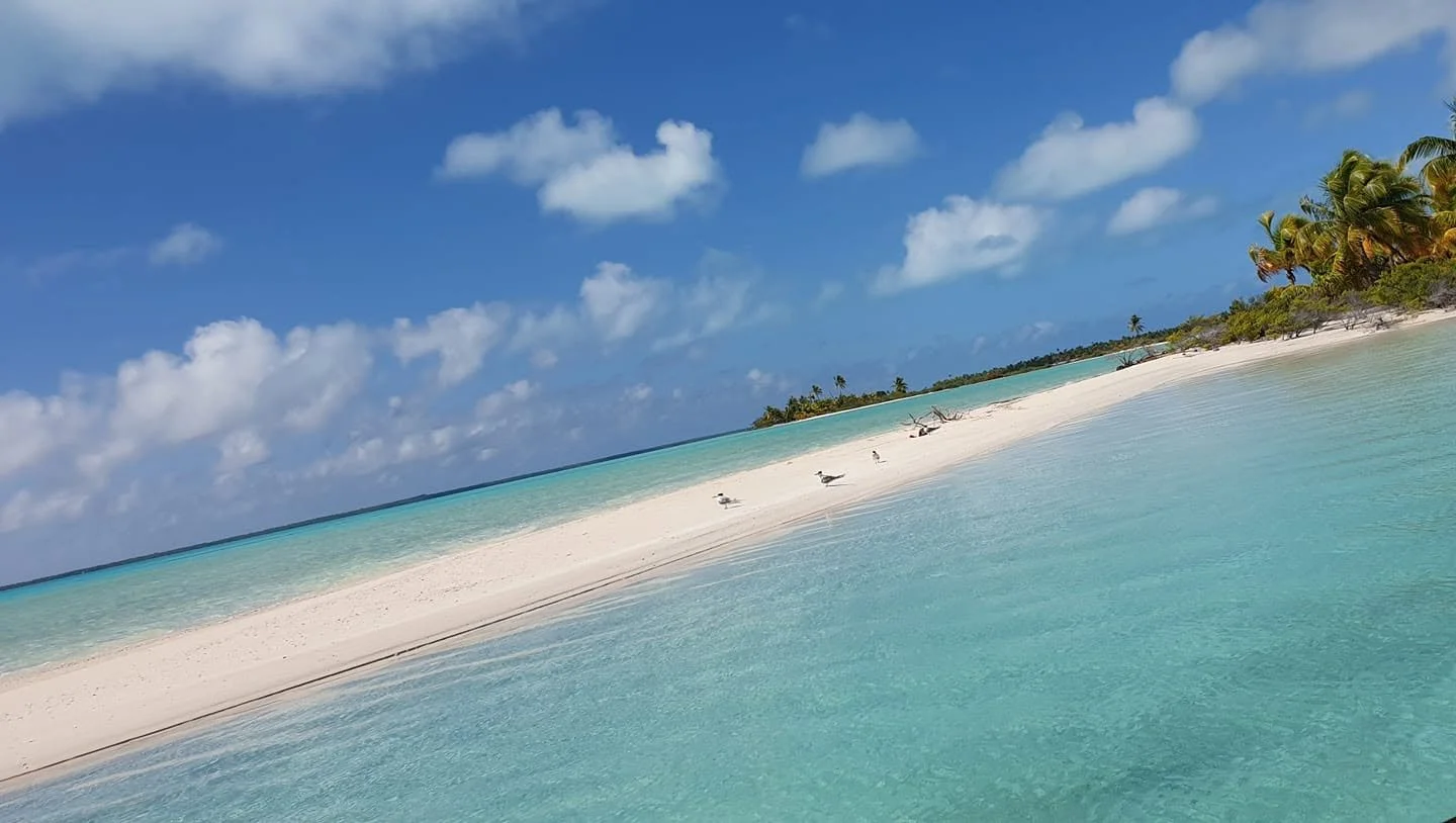 Beach on Anaa (angled).jpg