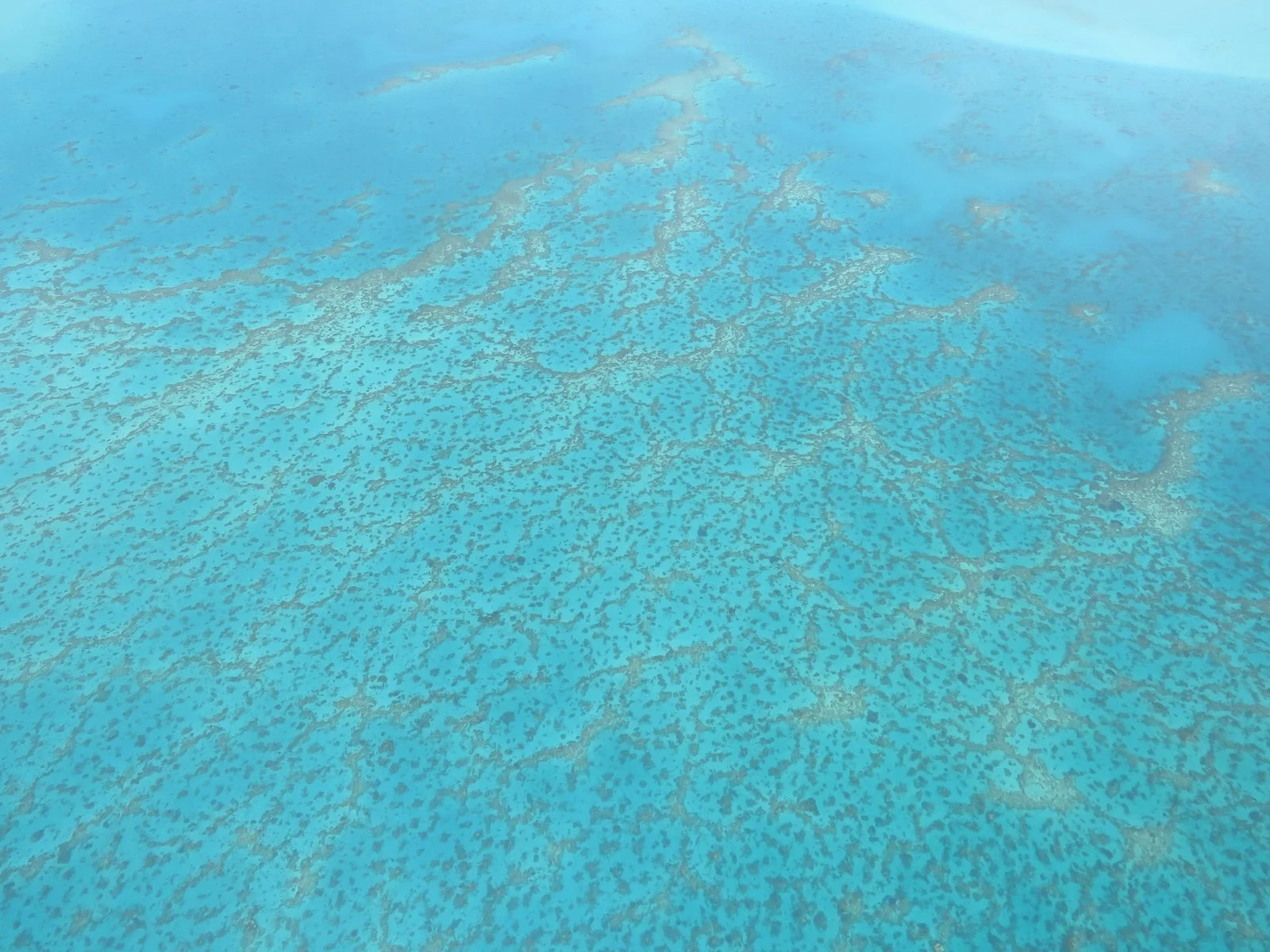 Kone, New Caledonia.jpg