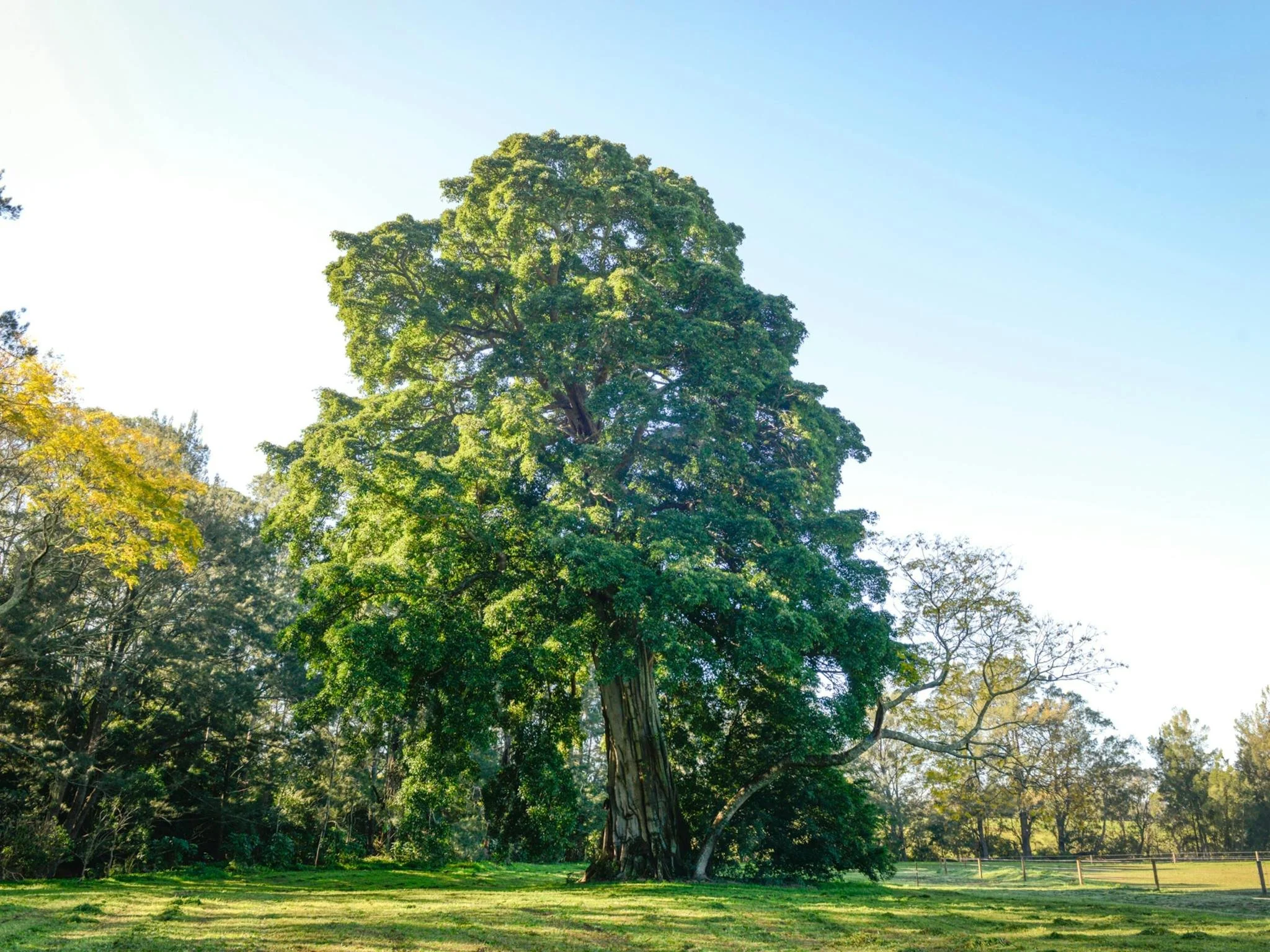 Wedding videographer Boonah Kalbar Scenic Rim
