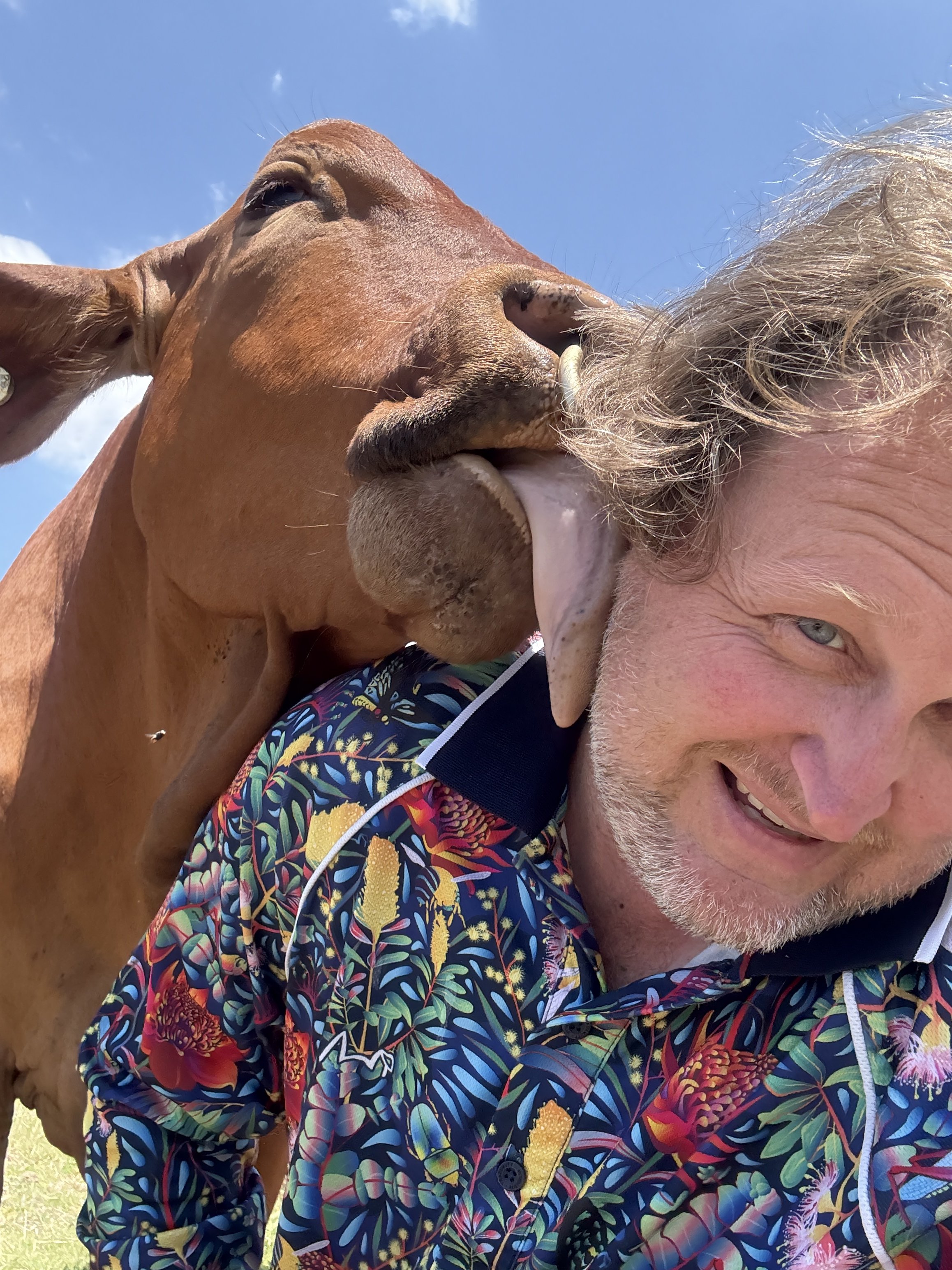 A man with blonde hair and a beard is smiling, wearing a colorful floral shirt, as an animal, likely a cow, licks his face. The cow has a brown coat and a visible horn.