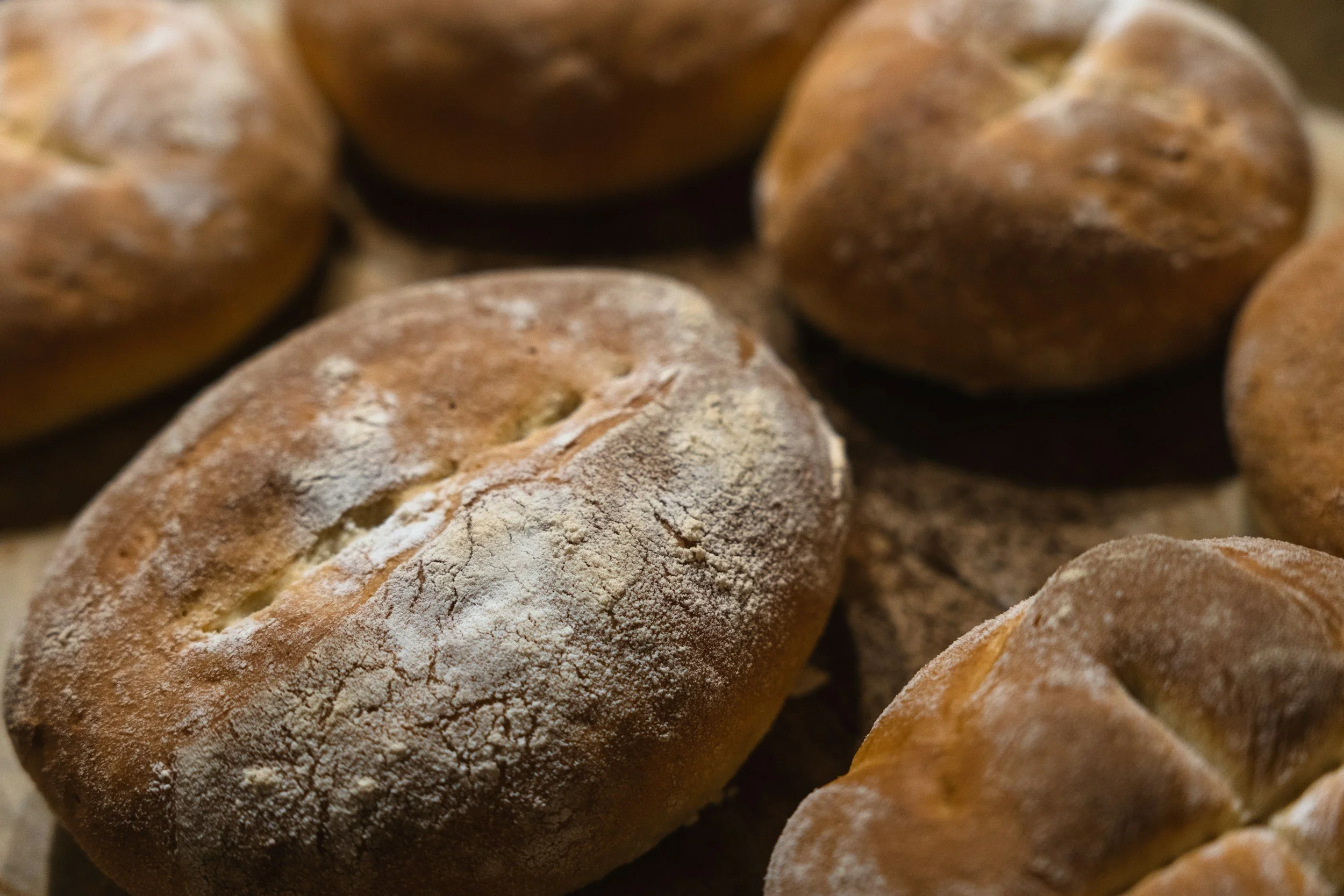 Close-up of several round, rustic bread rolls dusted with flour.