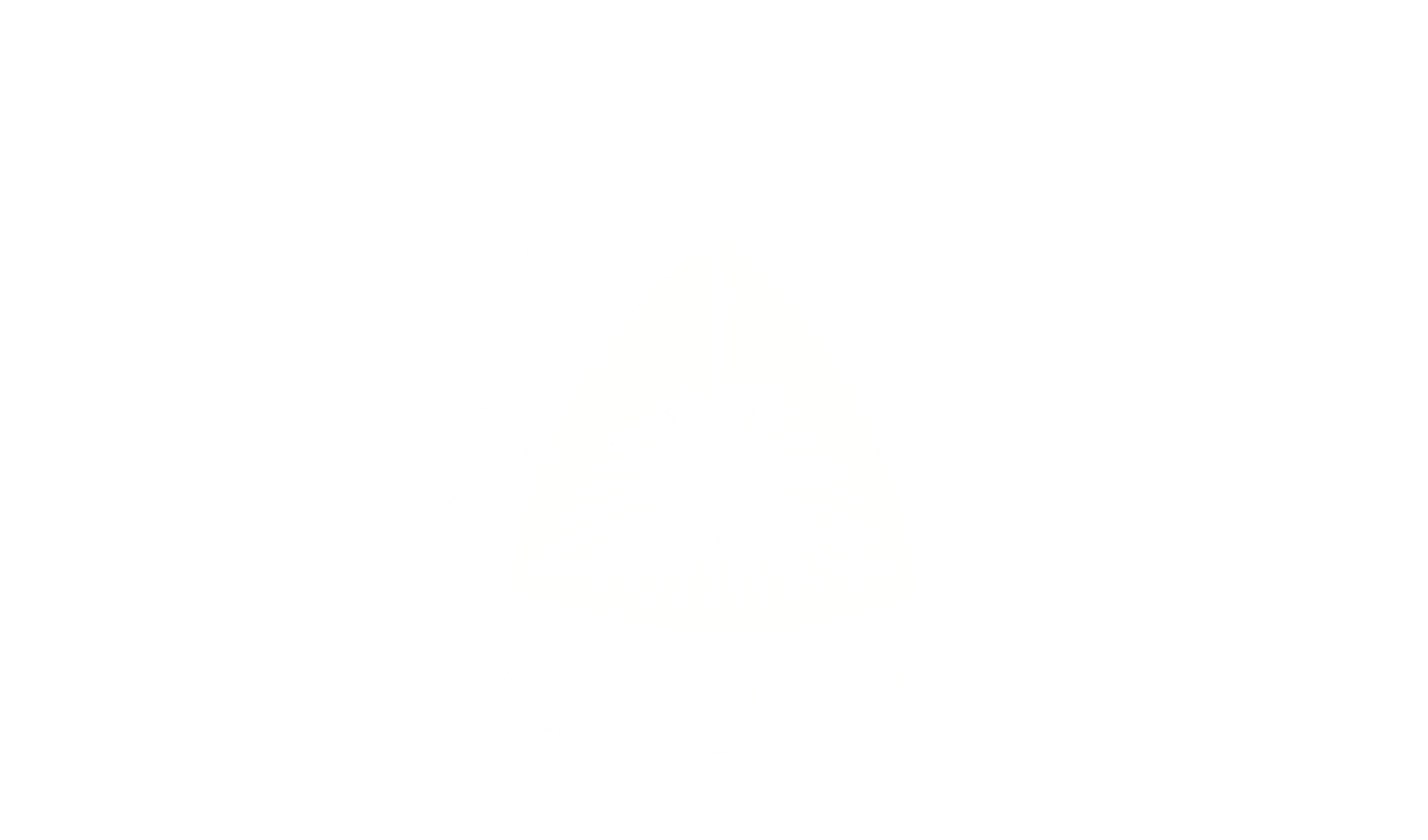 13.png