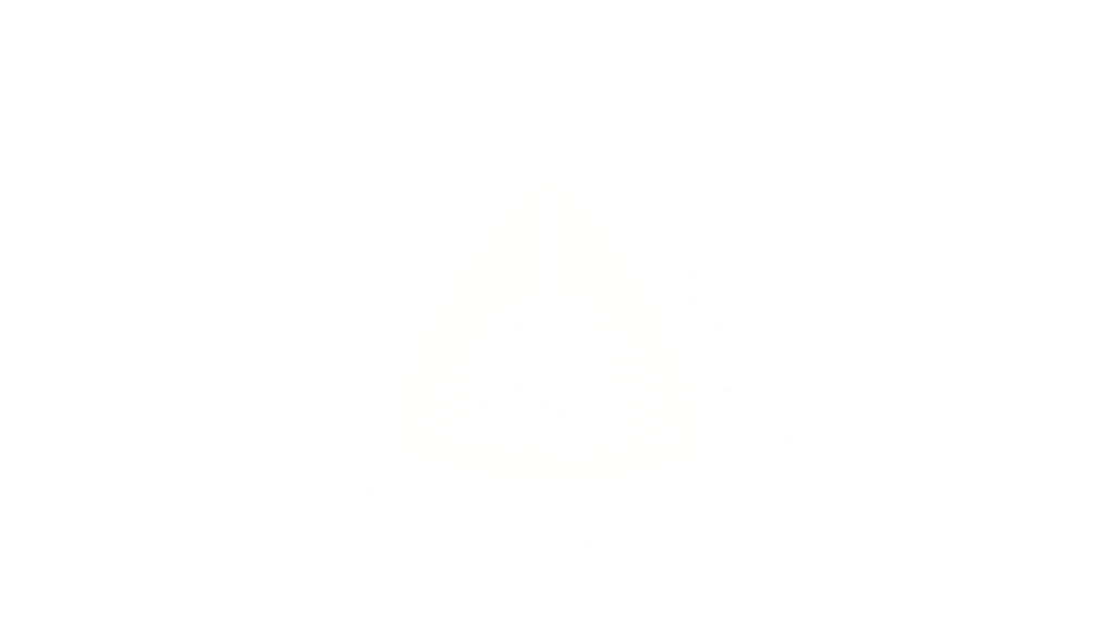 13.png