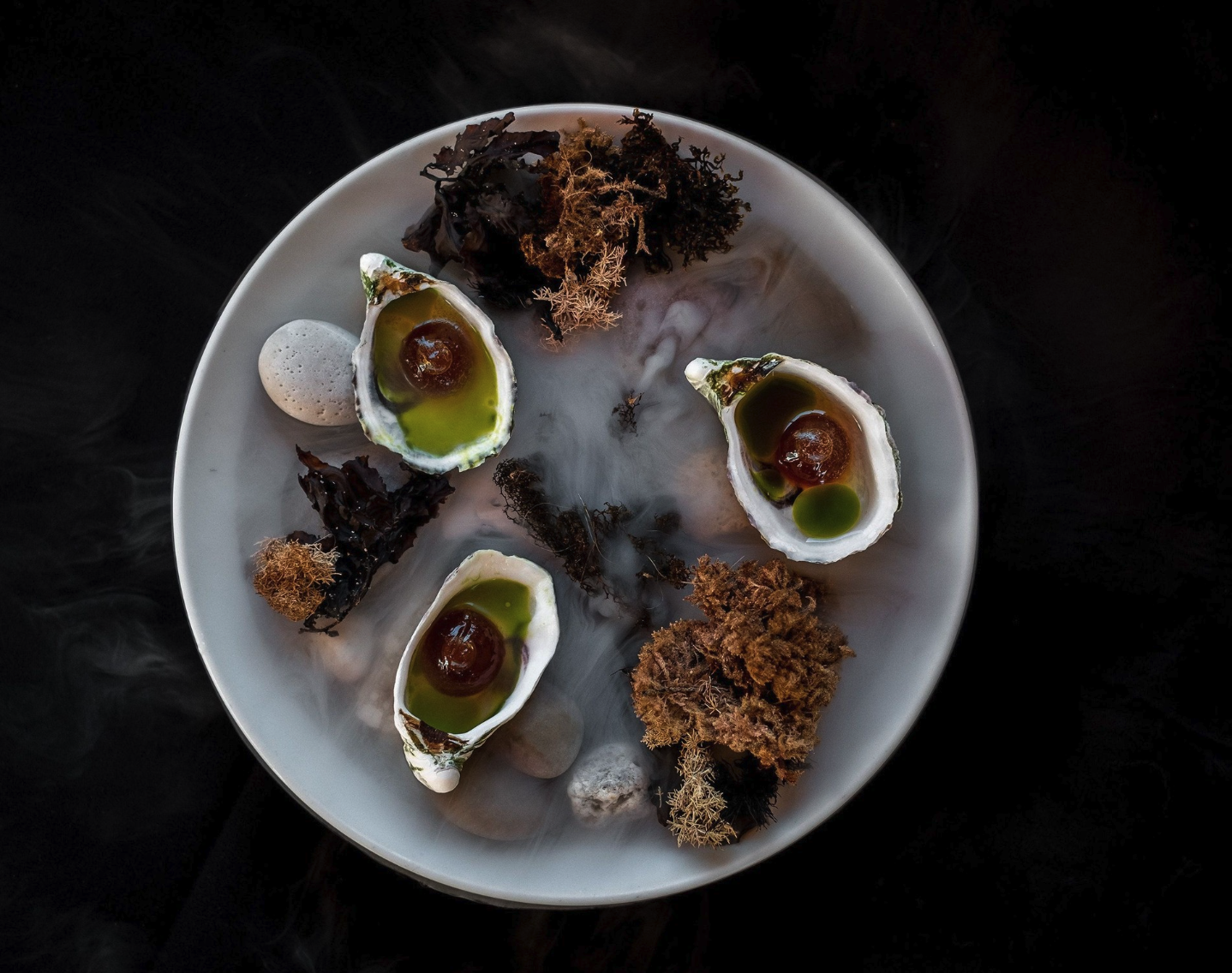 A white plate with three oyster shells filled with green gel-like substance, black and brown seaweed, small stones, and dried seaweed, on a dark surface.