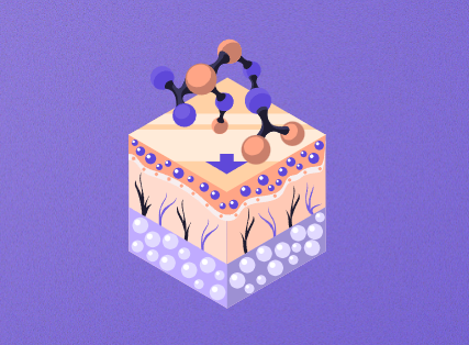 Illustration of a scientific diagram showing molecules interacting with skin layers, possibly representing a skin absorption or treatment process.