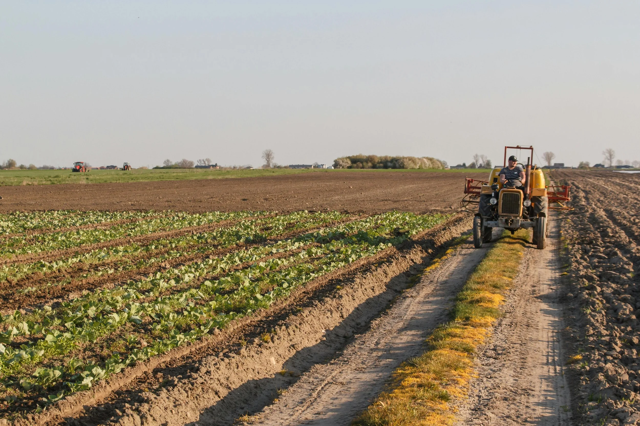 Global value chain financing: context and sector