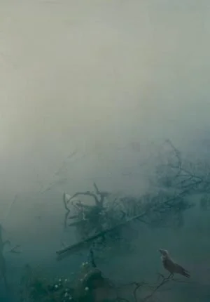 ON SHALLOW WATERS (2011)