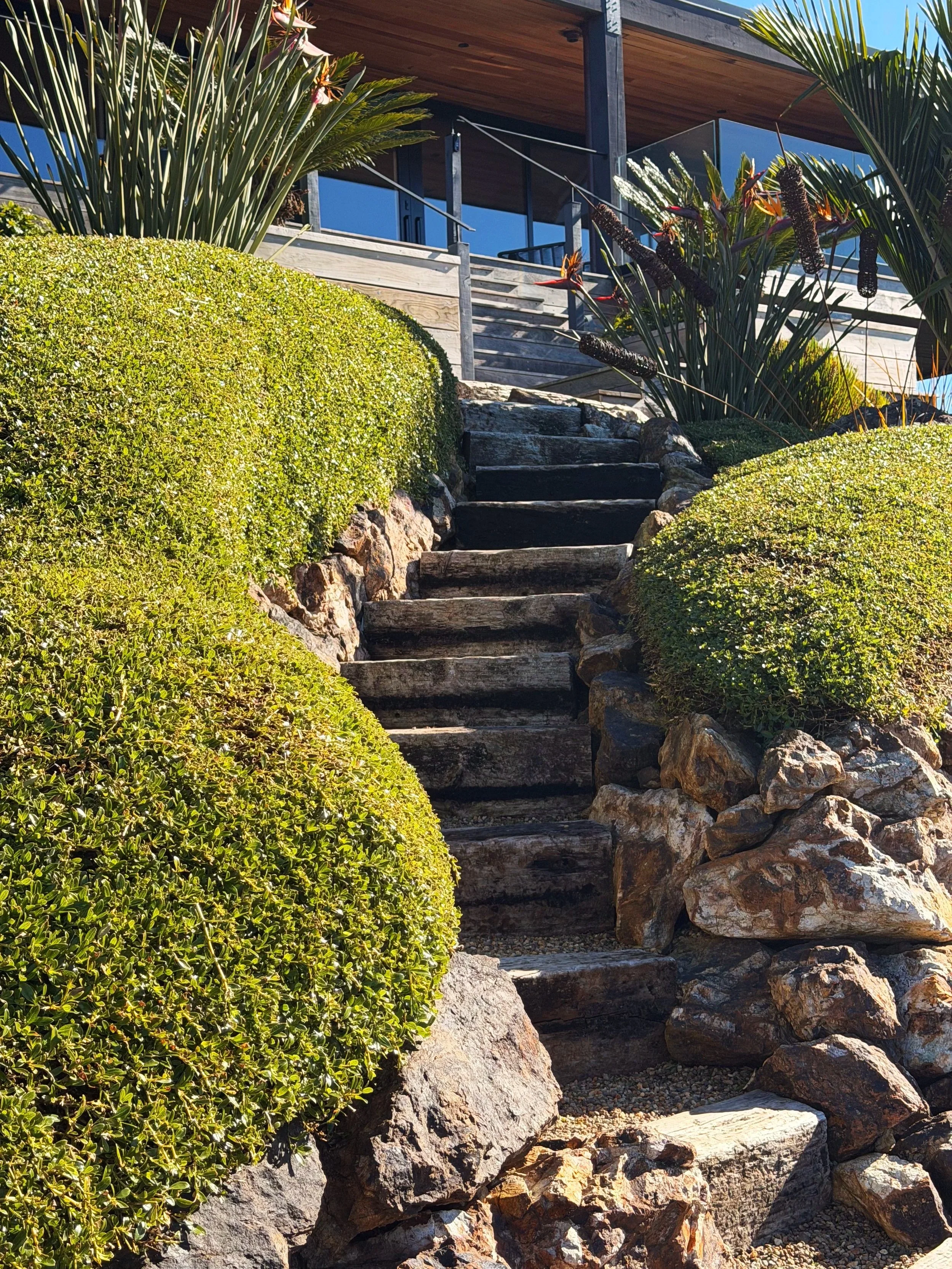 Wooden stairs leading up amidst green shrubs and rocks with modern house with glass walls and wooden roof in the background.