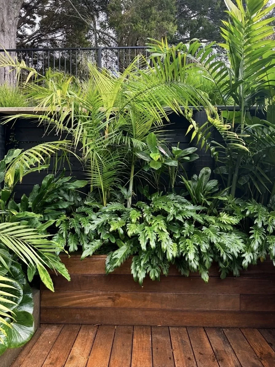 A lush outdoor garden with various green tropical plants in a wooden planter on a wooden deck, with a black metal fence and trees in the background.