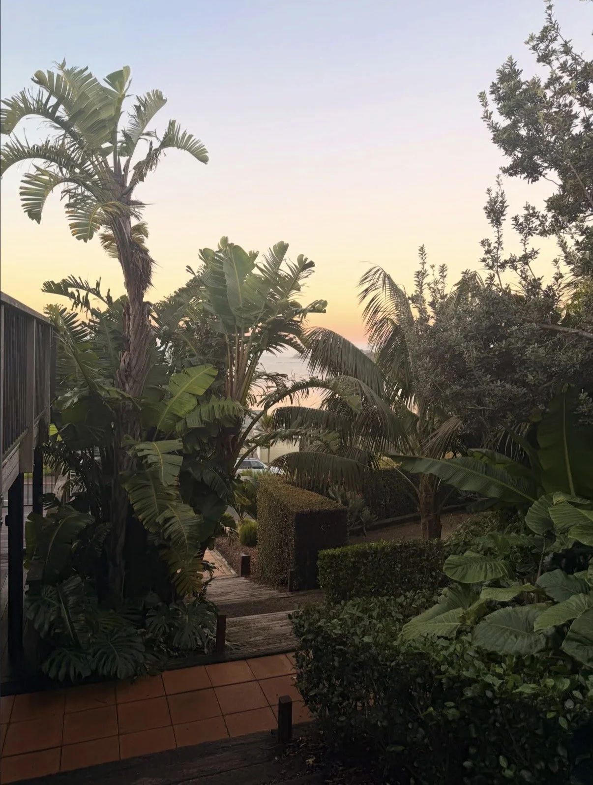 Tropical garden at dusk with palm trees, lush greenery, and a pathway leading towards water in the distance under a pastel-colored sky.