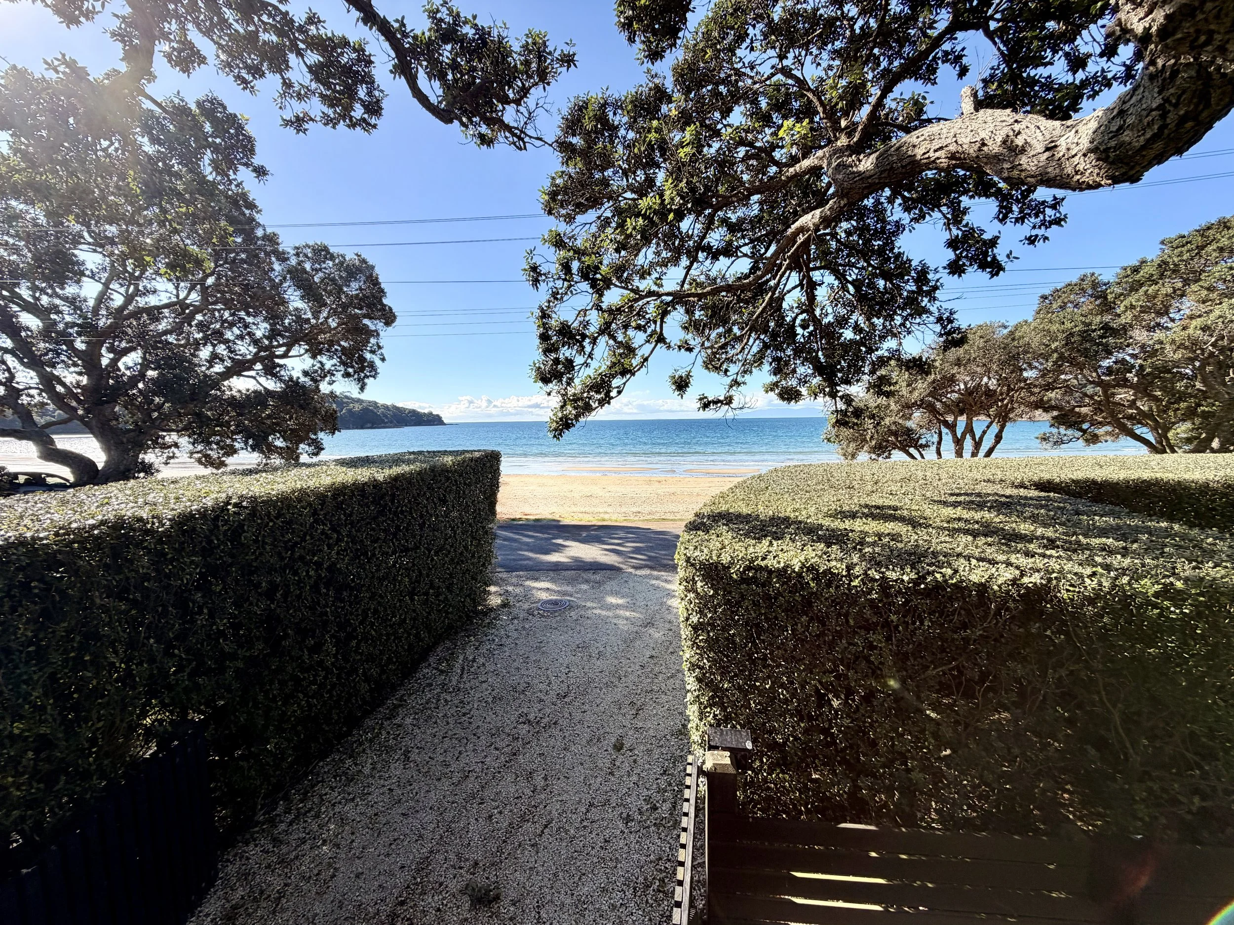View of a beach through a pathway lined with hedges and trees, with the ocean and clear blue sky in the background.