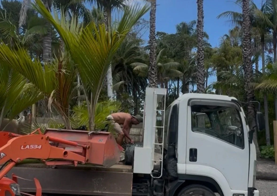 A man working on a white truck in a tropical setting with tall palm trees and lush green plants.