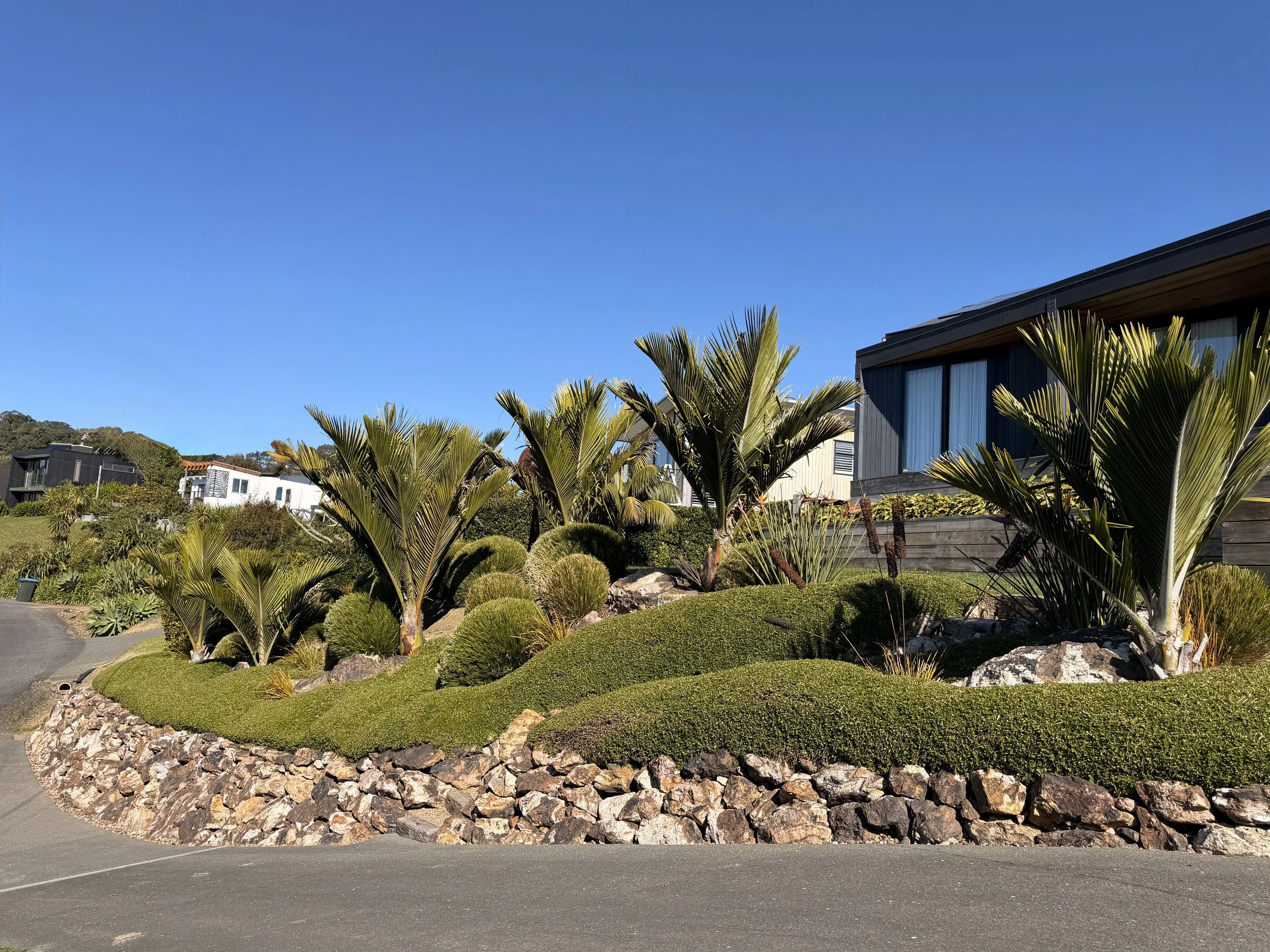 A landscaped yard with round shrubs and palm trees, a modern house with large windows, a stone-bordered garden bed, and a clear blue sky.