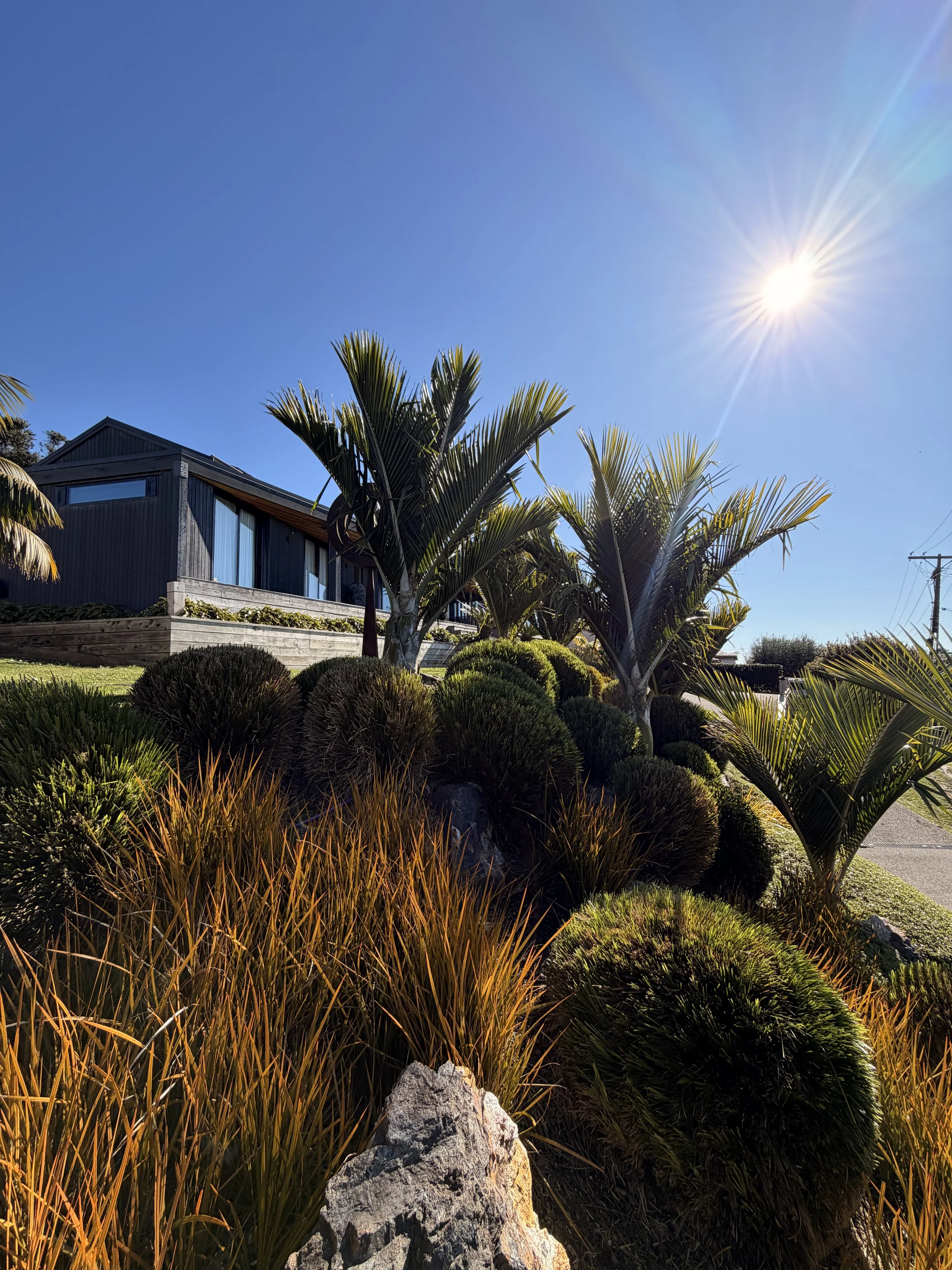 Bright sunny day with clear blue sky, sun shining, modern house with large windows, surrounded by tropical plants and rocks.