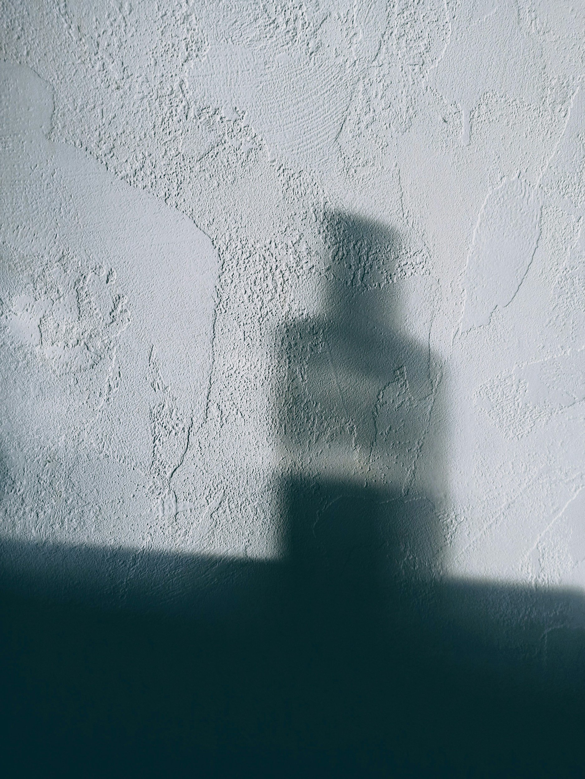 Soft shadow of a small glass bottle on a textured white wall, minimal aesthetic background for branding content.