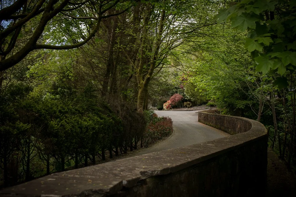 A winding pathway in a lush green garden surrounded by trees and shrubs.