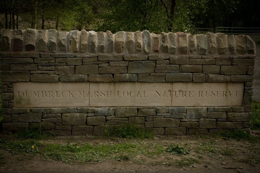 Stone sign that reads 'Dumbreck Marsh Local Nature Reserve,' surrounded by trees and grass.