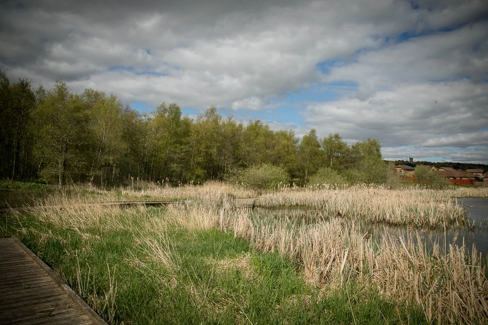 Dumbreck Marsh Volunteer Group 