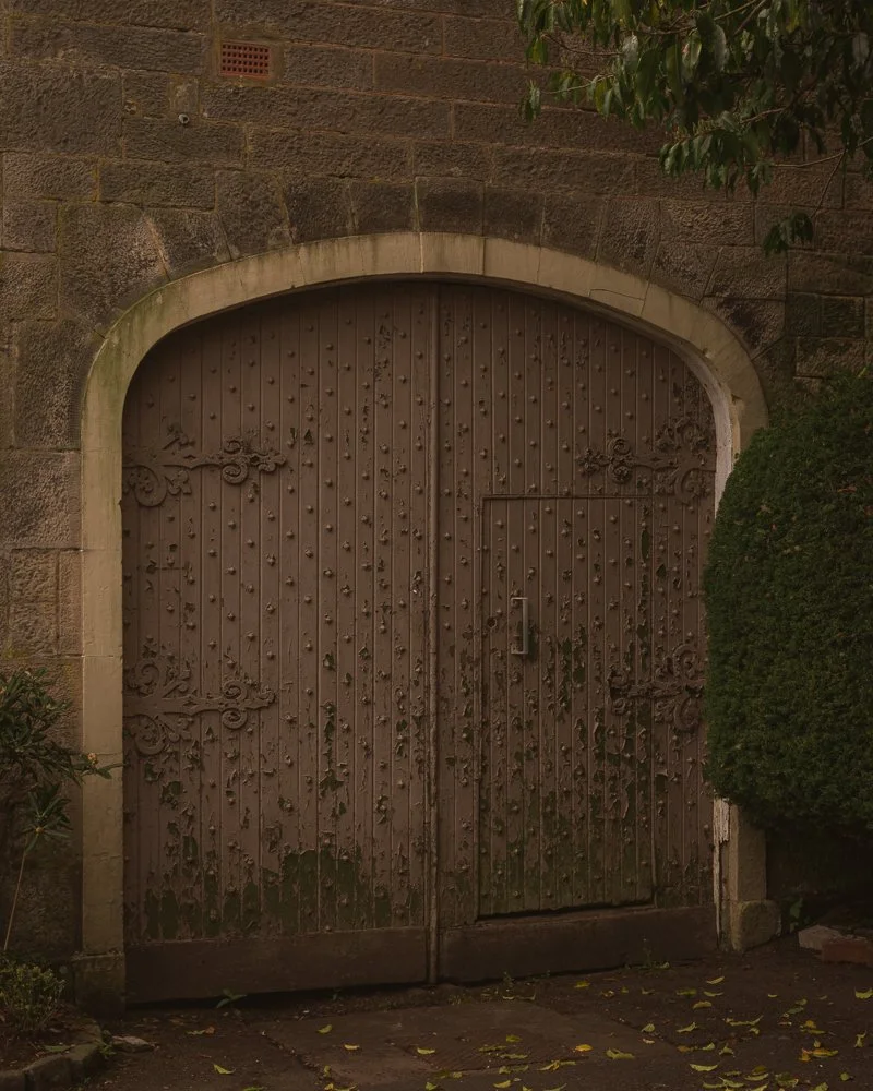 A large arched wooden gate with ornate wrought iron accents, set in a brick wall, partially covered by a green bush on the right and some fallen leaves on the ground.