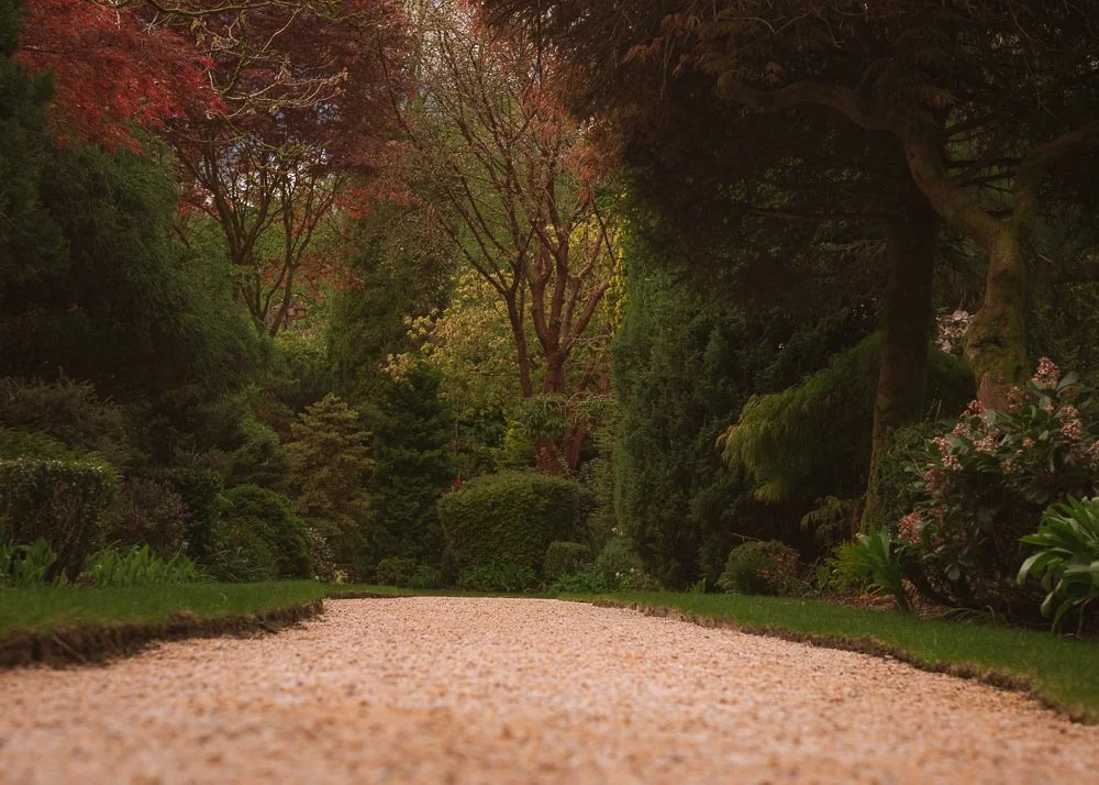A garden pathway surrounded by lush green trees and plants, with colorful foliage in the background.