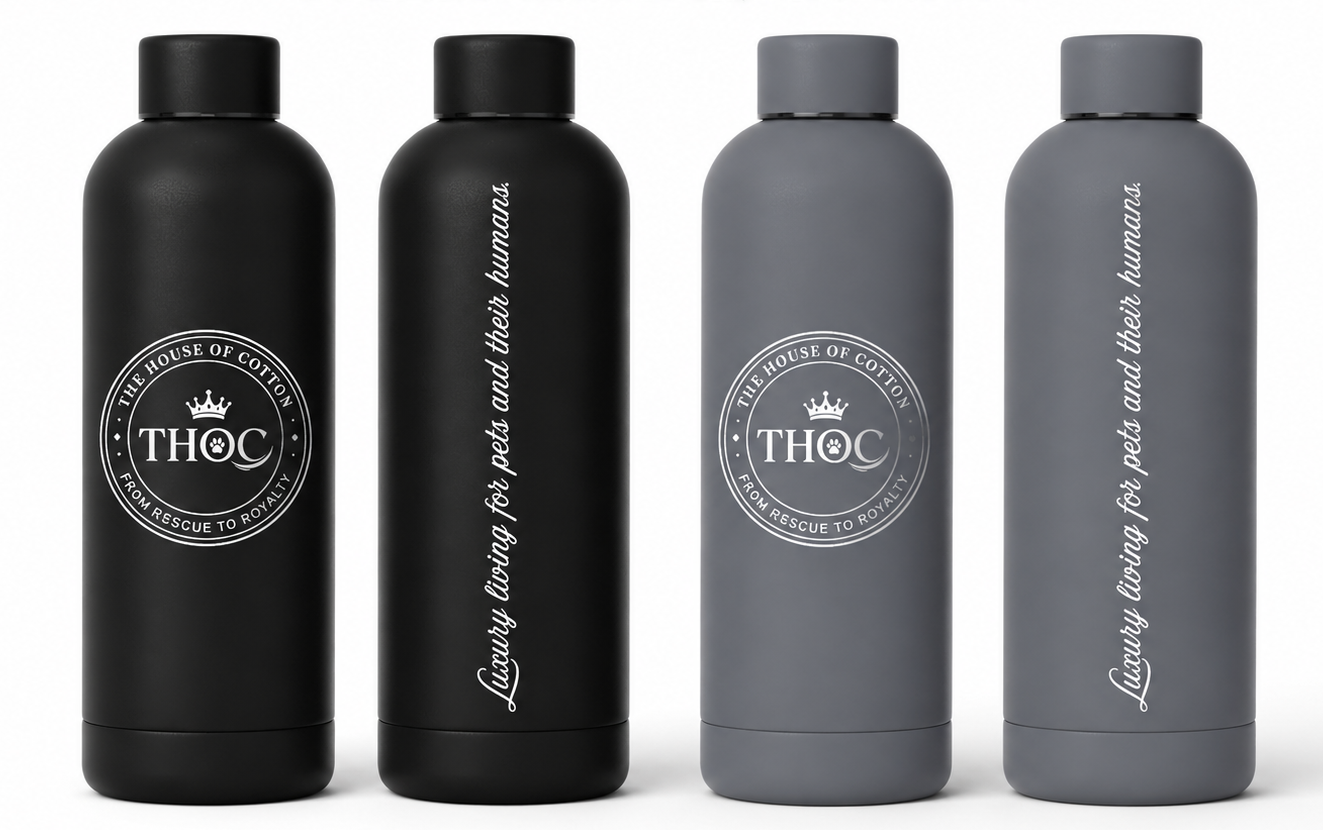 The Origin Active Tumbler - 20oz