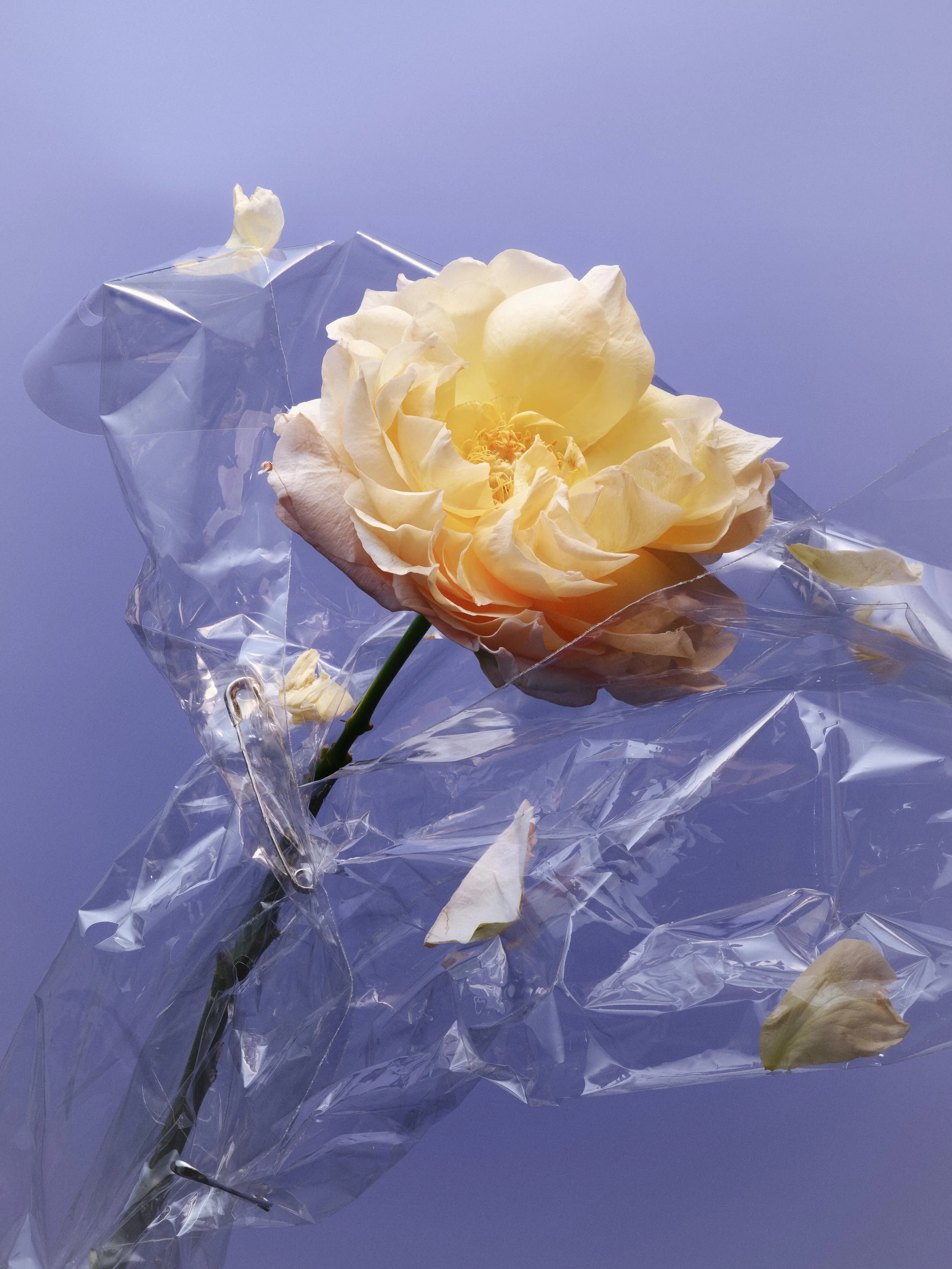 dior fleurok.jpg