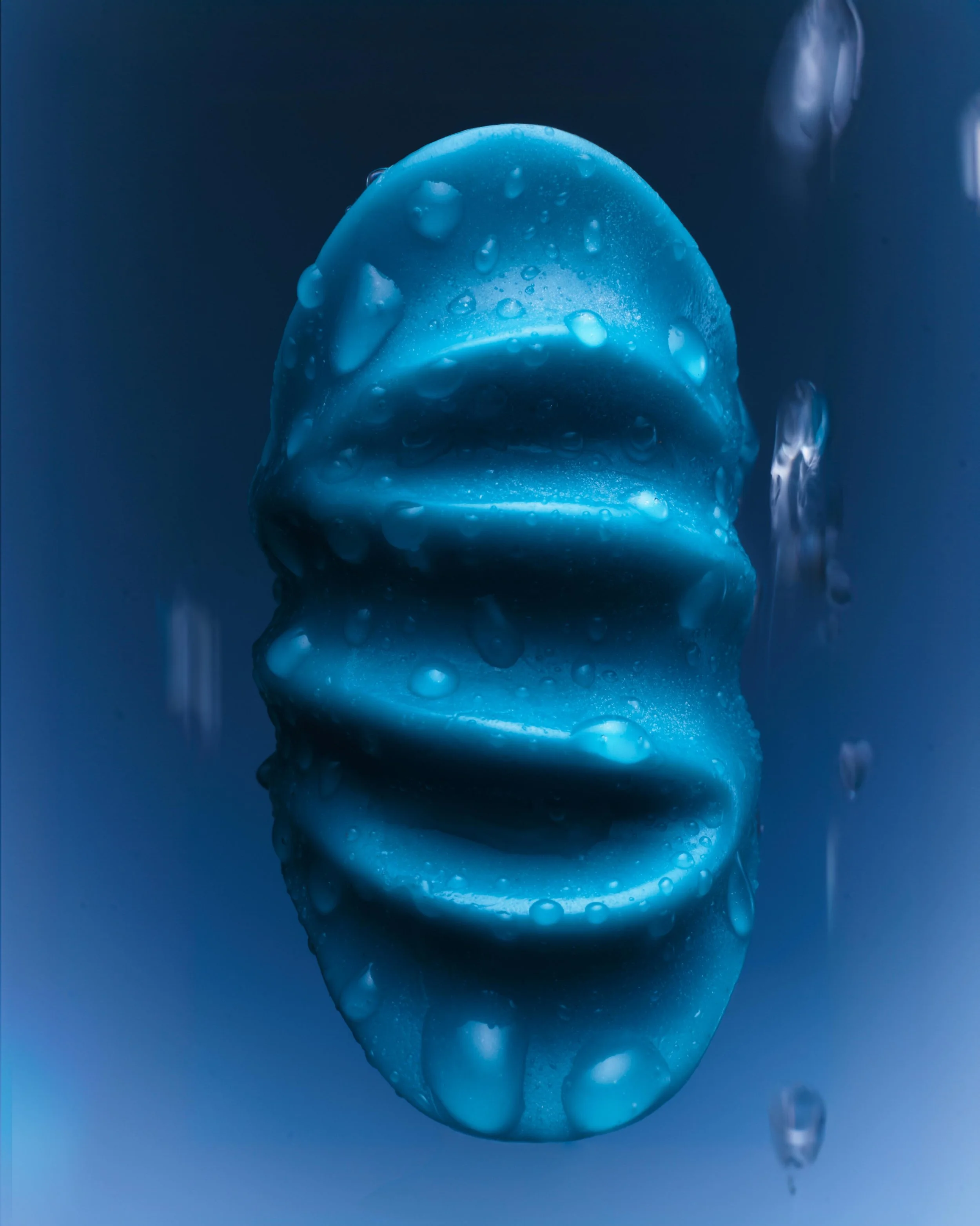 Capture One Catalog0215.jpg