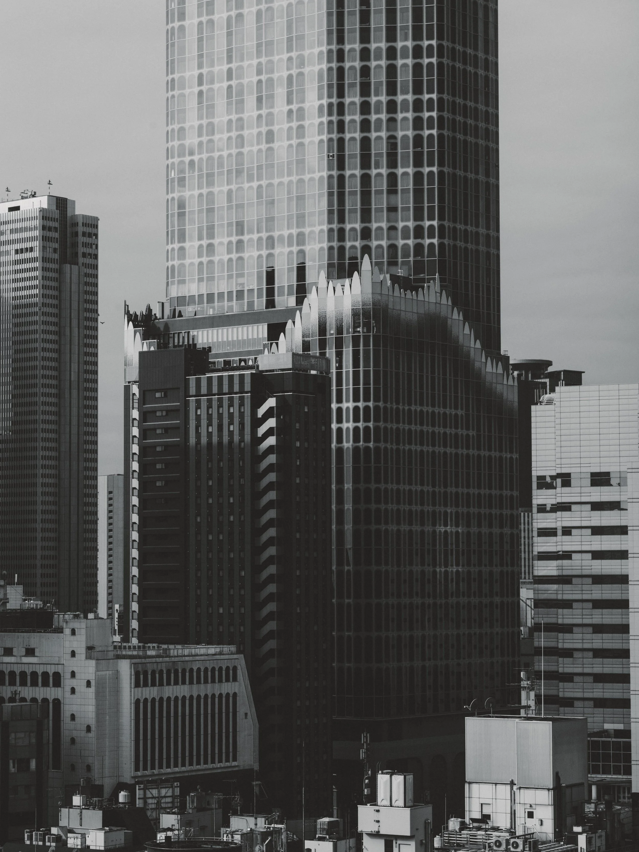 DSCF6581.jpg