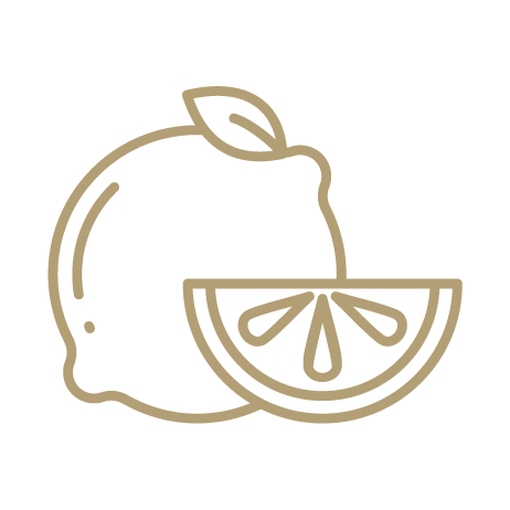 Minimalist pictogram of a whole lemon and a lemon slice.
