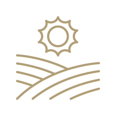 Pictogram depicting a sun above curved fields.