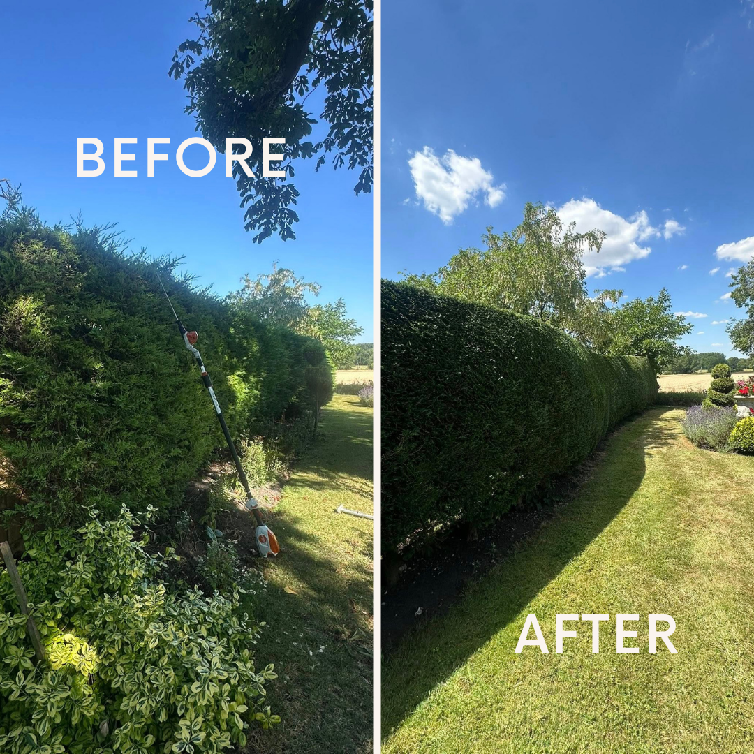 Before & After (1).png