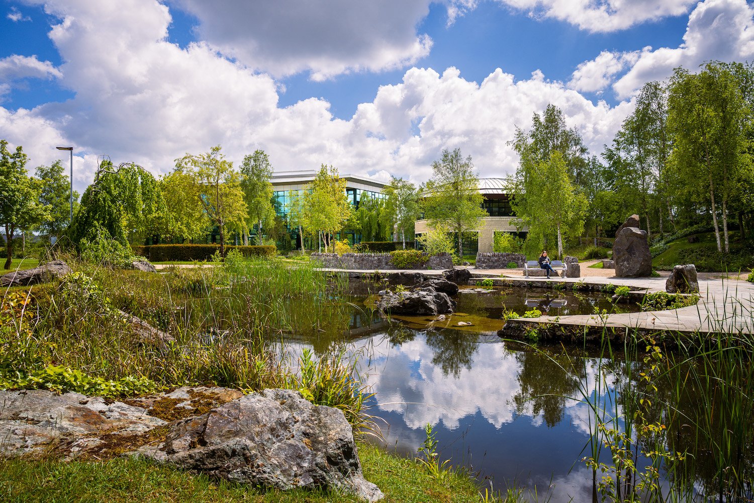 Lake Drive_Design by JSA Architects Blackrock.jpg