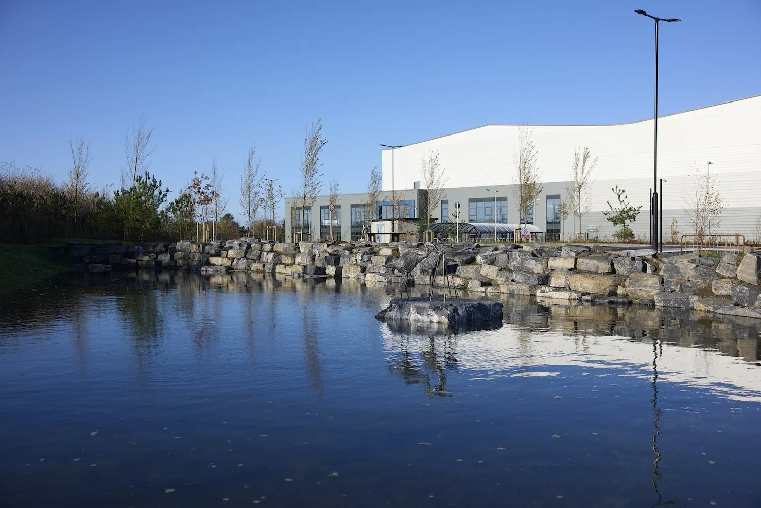 Sculpture in pond at Mountpark, JSA Architects.jpg